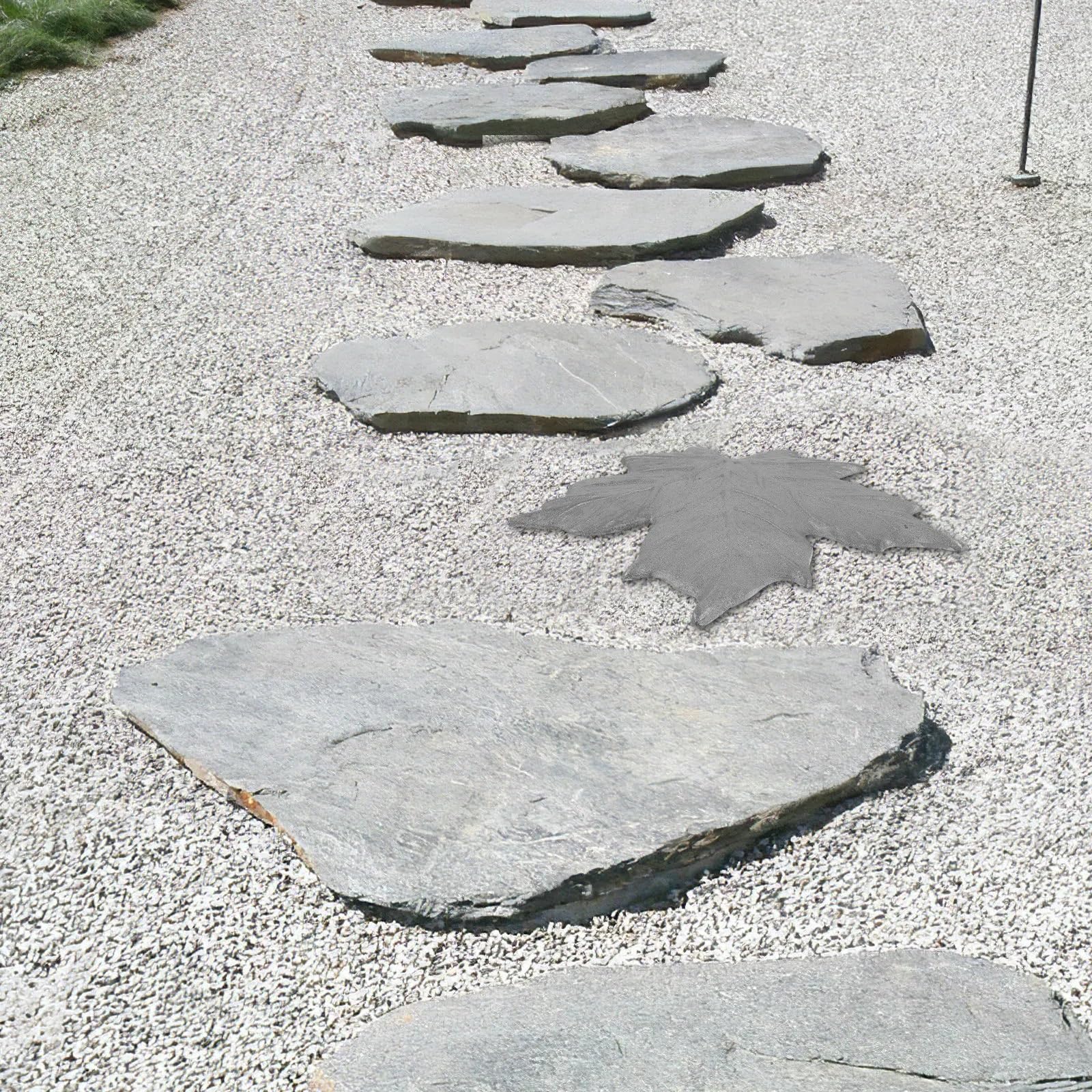 Pas Japonais Jardin Tremplin en forme d'érable