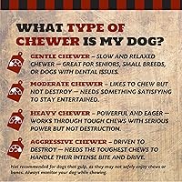 Vista 5 de Huesos de perro con mango de res para masticadores agresivos, golosinas de larga duración para perros de razas grandes y gigantes, médula saludable