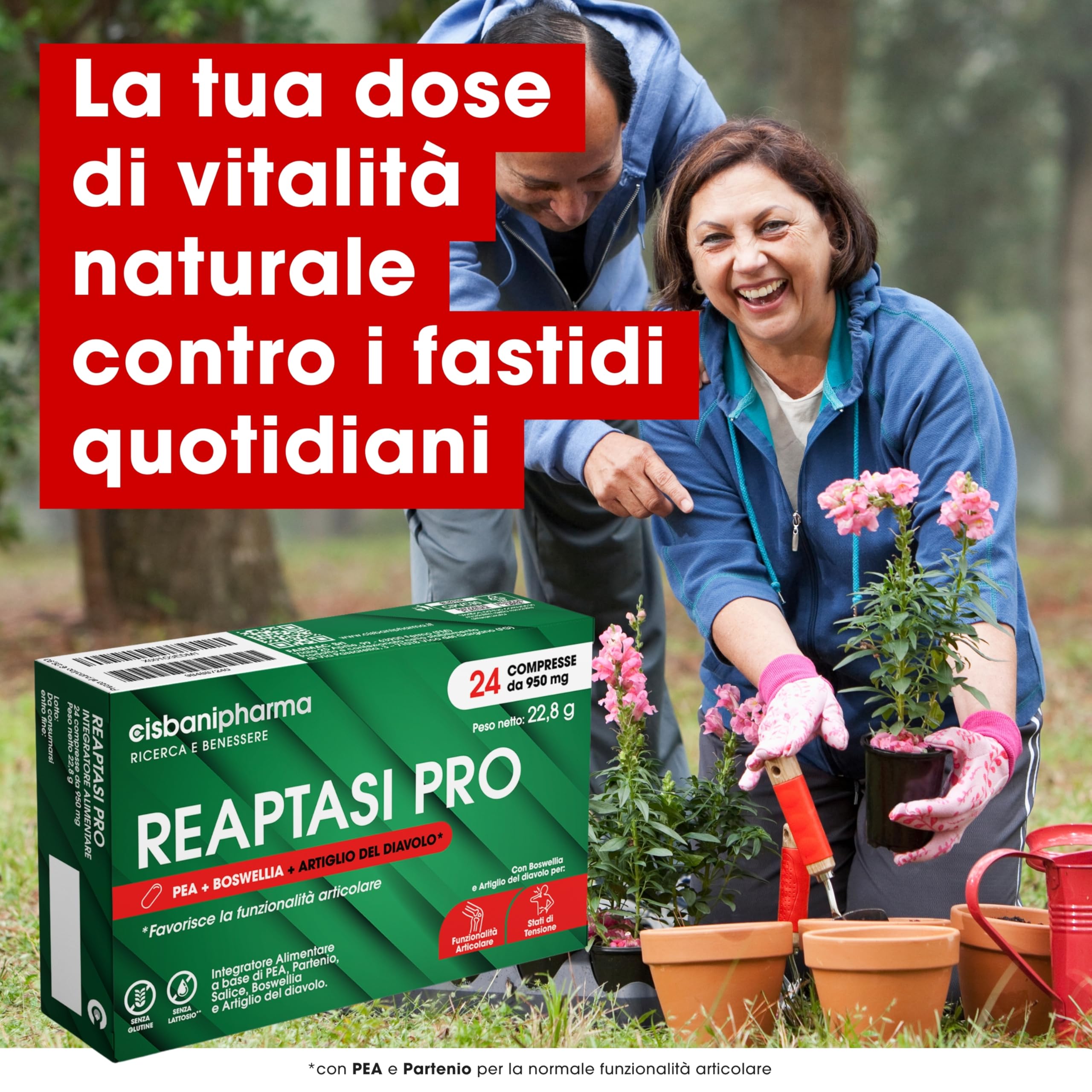CISBANI PHARMA Reaptasi Pro, Integratore Articolazioni, Favorisce la Normale Funzionalità Articolare, con PEA, Artiglio del Diavolo, Boswellia e Partenio – 24 Compresse