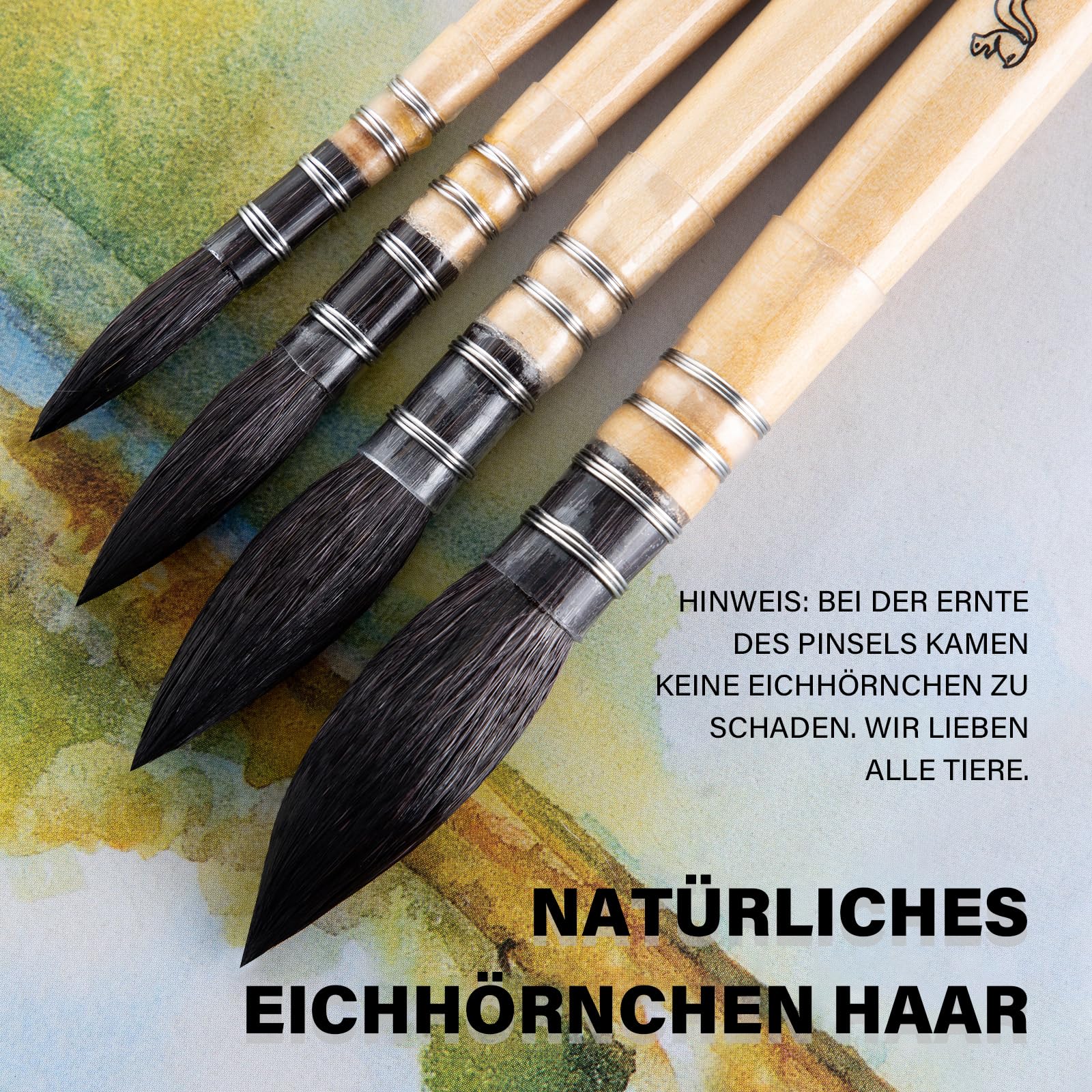 COOZEE Pinceles para artistas, pinceles profesionales de acuarela de pelo de ardilla natural, juego de pinceles redondos y puntiagudos perfectos para acuarela, pintura acrílica gouache (4 pinceles)