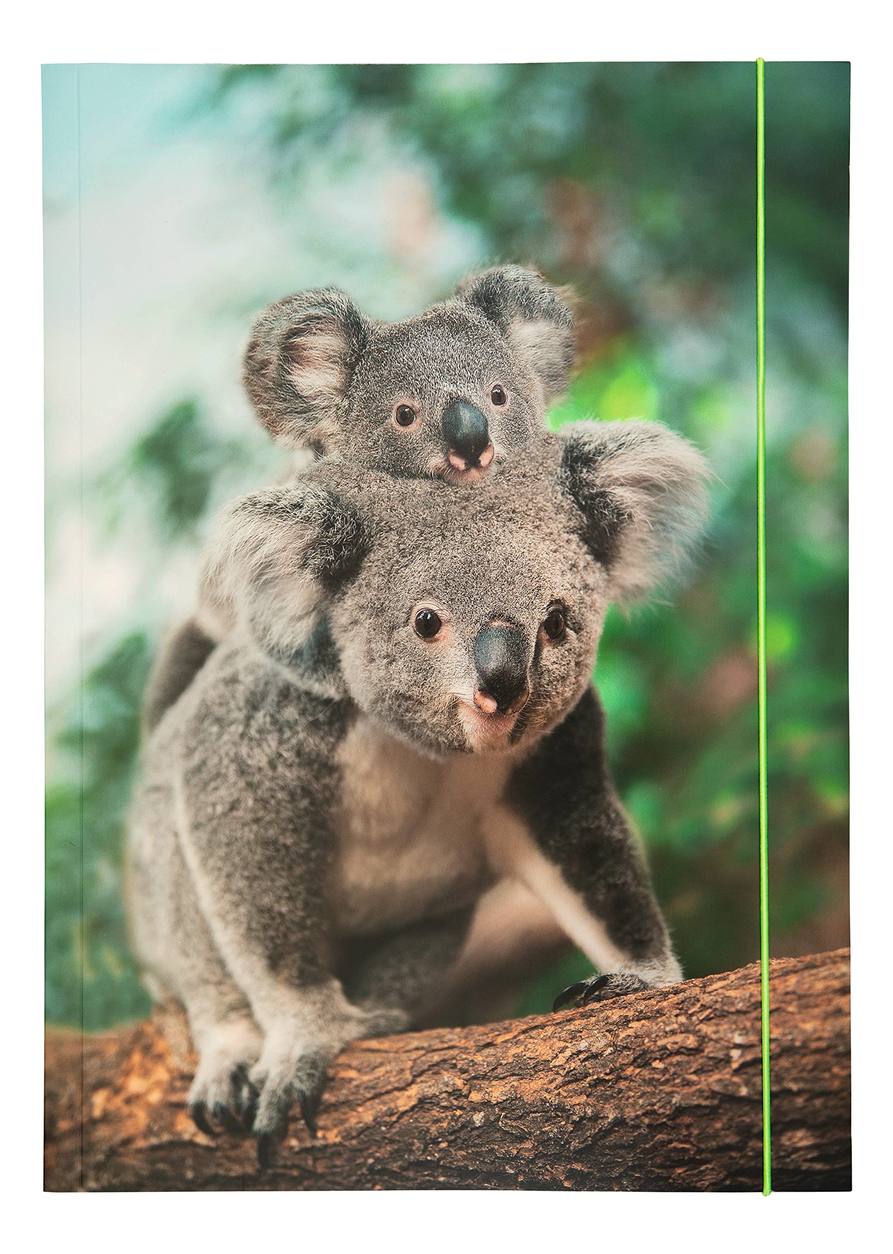 folia 69003 69003 Basic Jungle Cuties A3 Portfolio File Made of Sturdy Cardboard with Elastic Strap Multi-Coloured