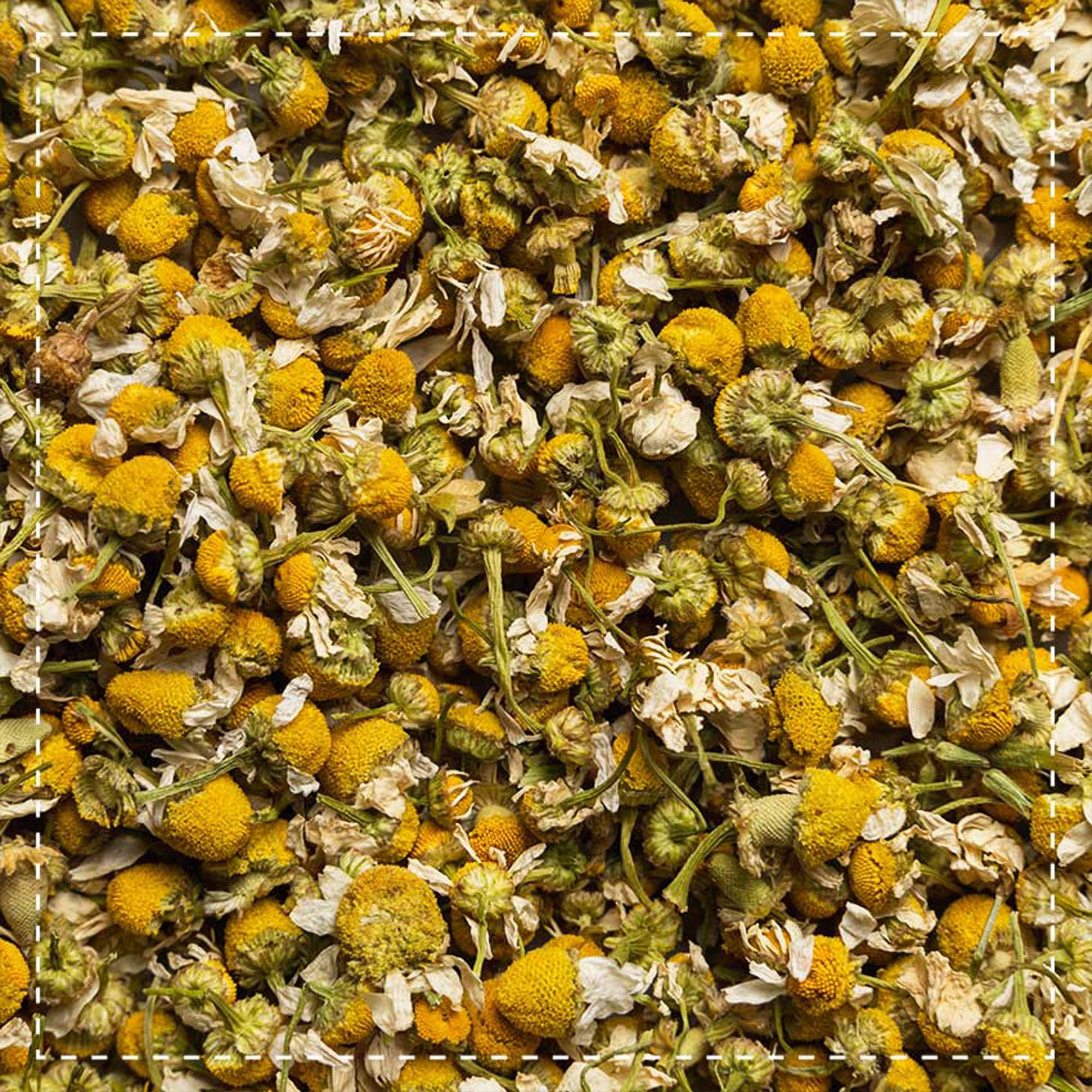 Tè alla camomilla Bio 1000g (2x500g) | fiori di camomilla interi biologici | Matricaria chamomilla | confezionato e controllato in Germania | Biotiva