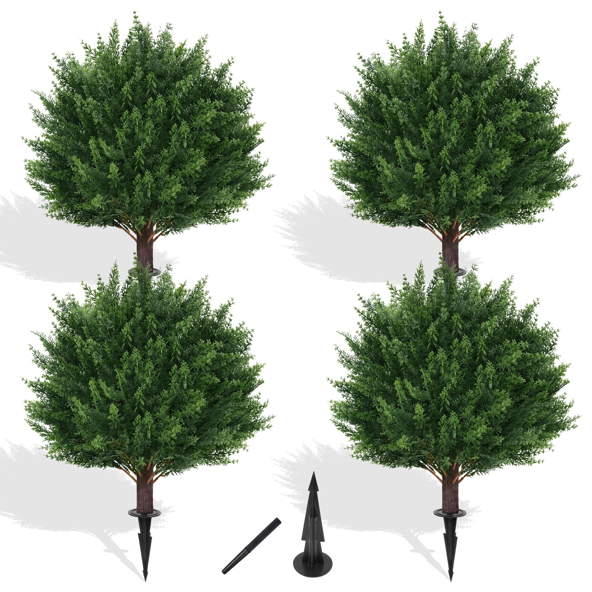 Yangrass 23