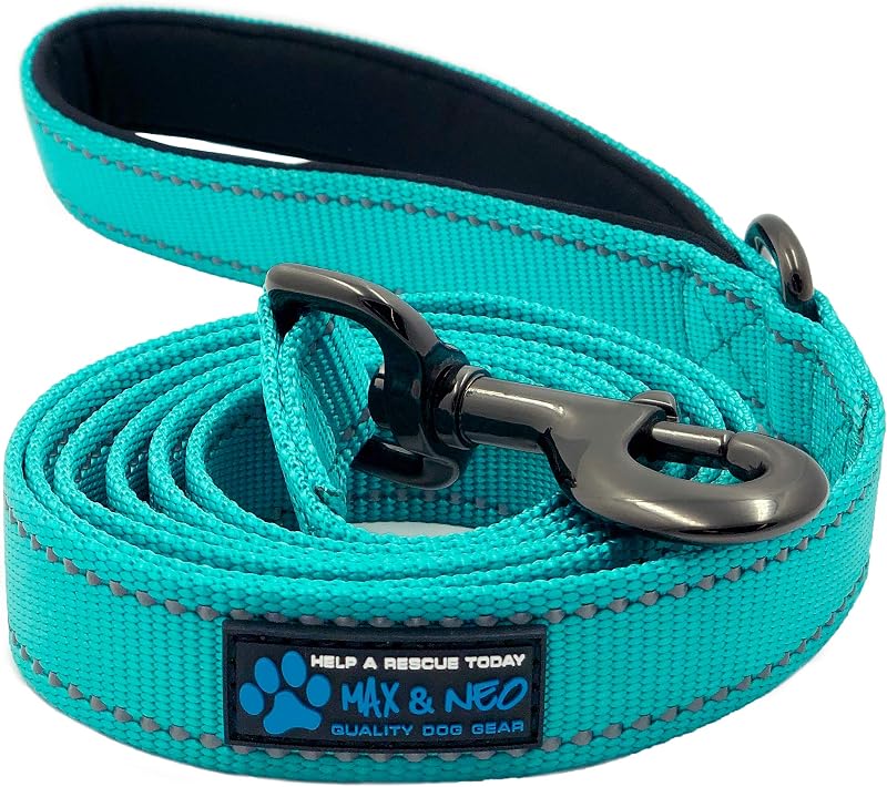 Reflective Nylon Dog Leash - We Donate a Leash to a Dog Rescue for Every One Sold (Teal, 6x1)