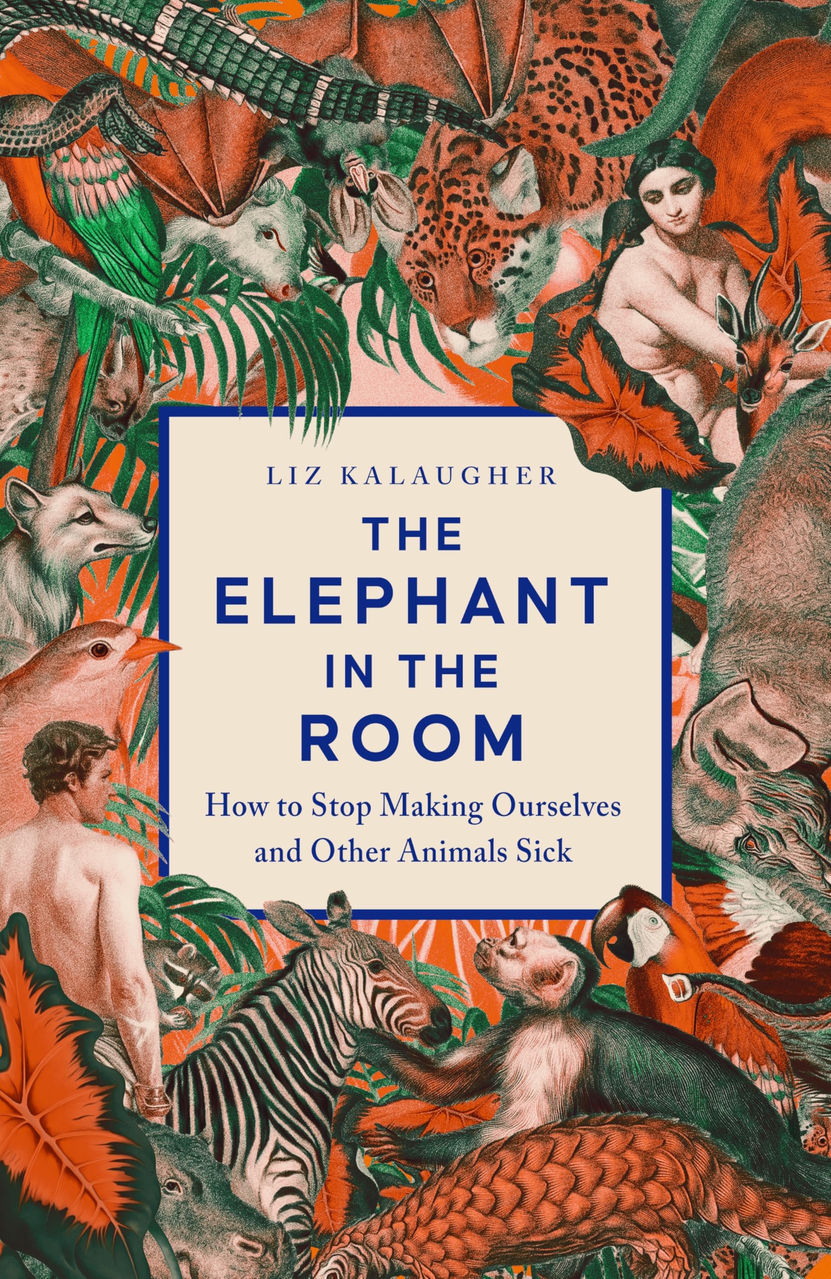 Elephant In The Room