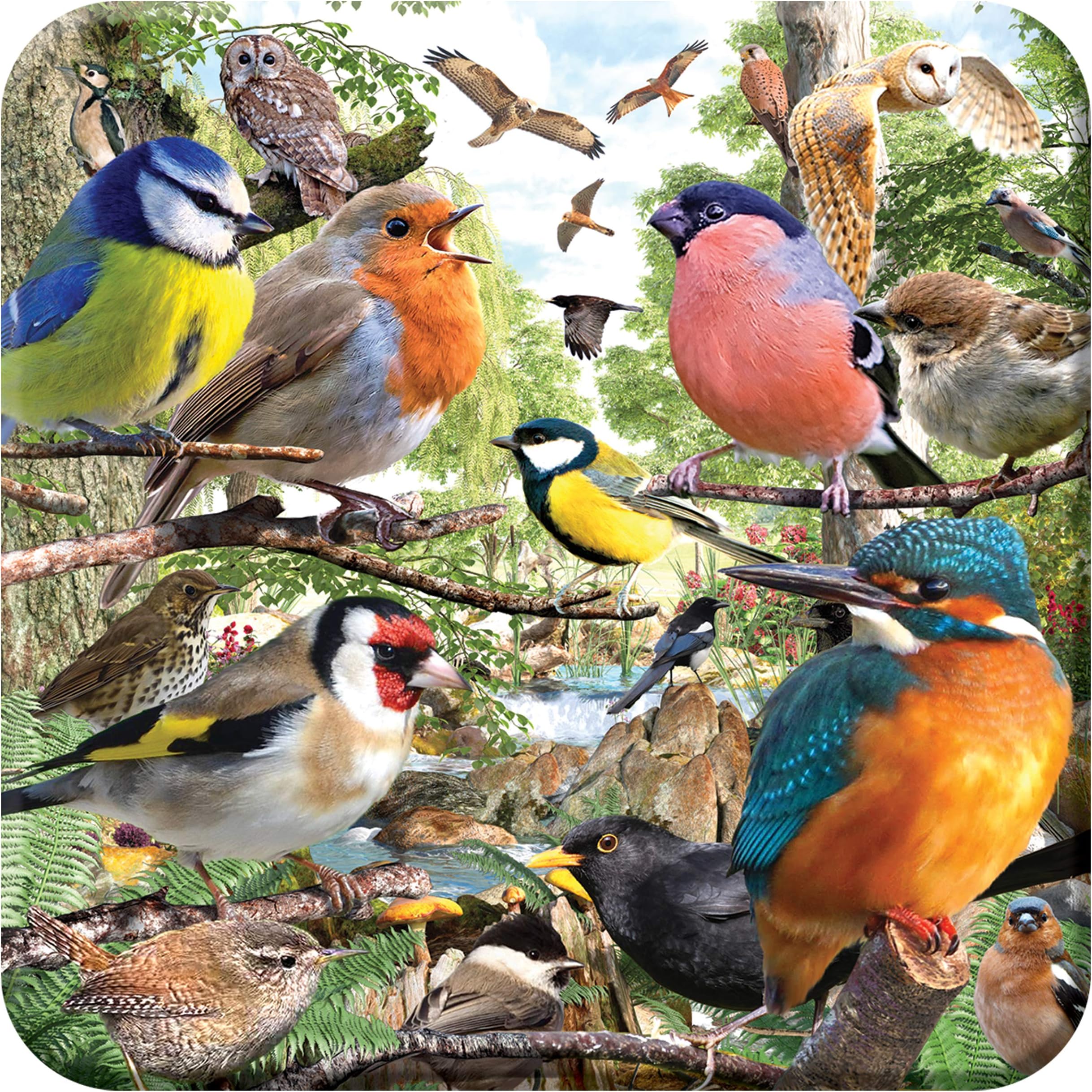 3D LiveLife Cork Coaster - Nature's Home from Deluxebase. Drinks Coaster with Lenticular 3D Animal Image. Non-Slip Protective Table Drink Mat for Home Decor and Decorative Accessories.