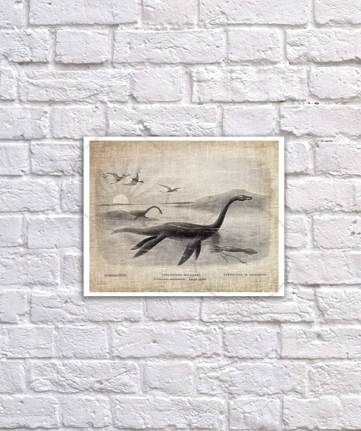 Gnosis Picture Archive Dinosaurs Wall Art set of 4 Unframed Art Prints Nursery Kids Room Decor