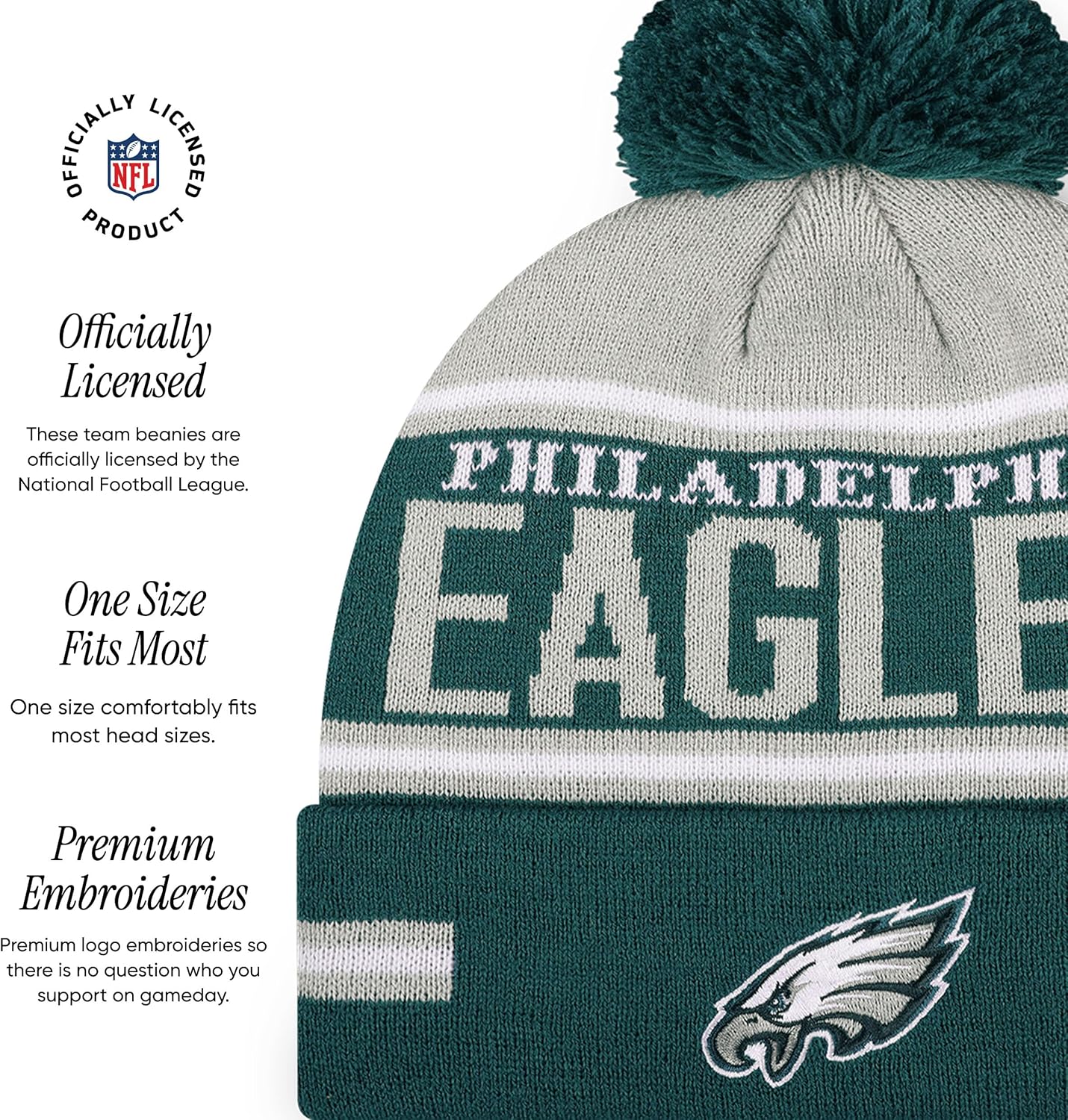 FOCO NFL Team Logo Big Wordmark Stripe Pom Beanie Hat - Image 4