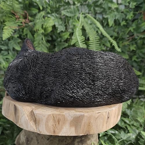 Miniatura 4 de Vivid Arts Tamaño B Gato durmiendo Real Life - Negro/Blanco