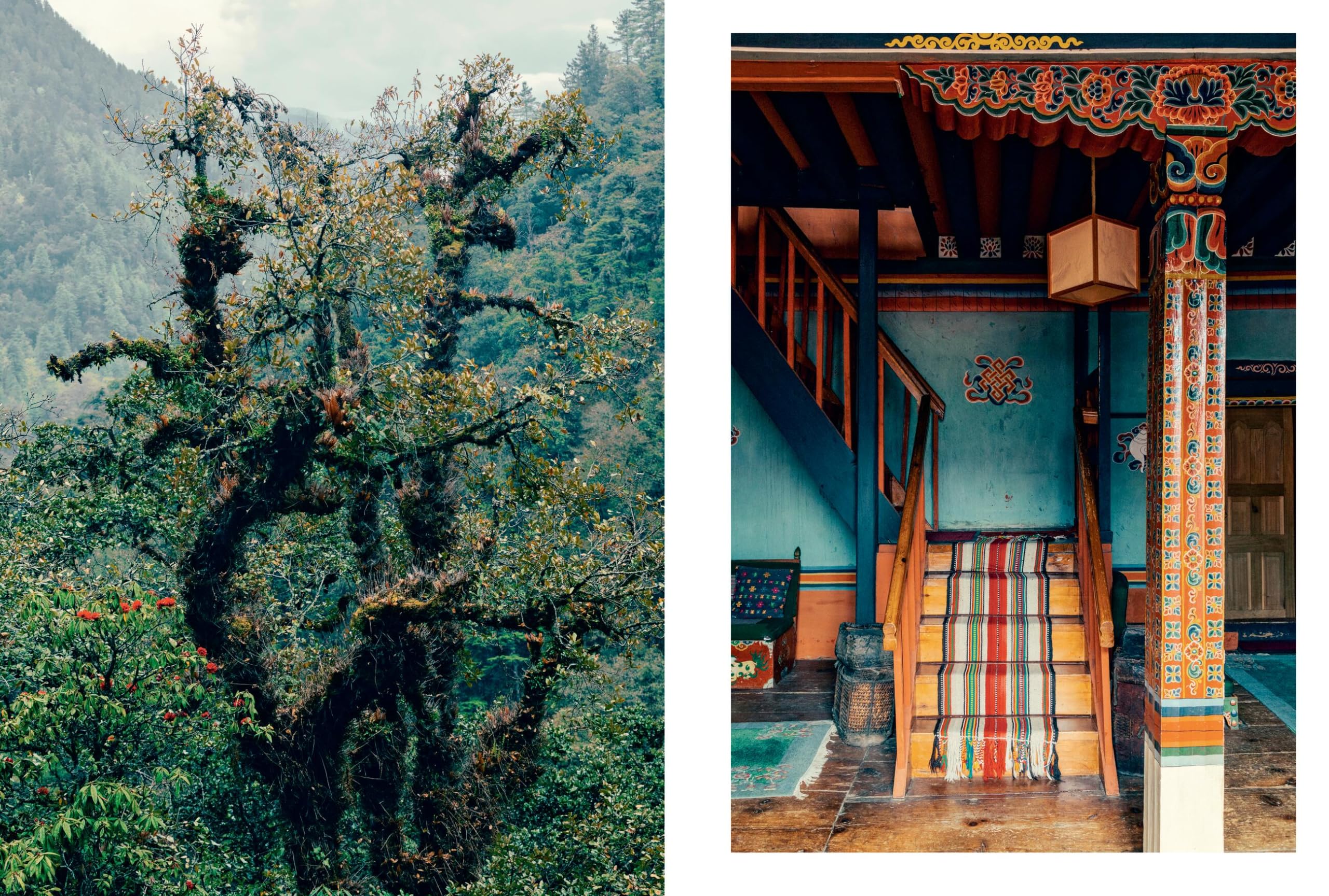Kinfolk Wilderness: Kinfolk Adventures