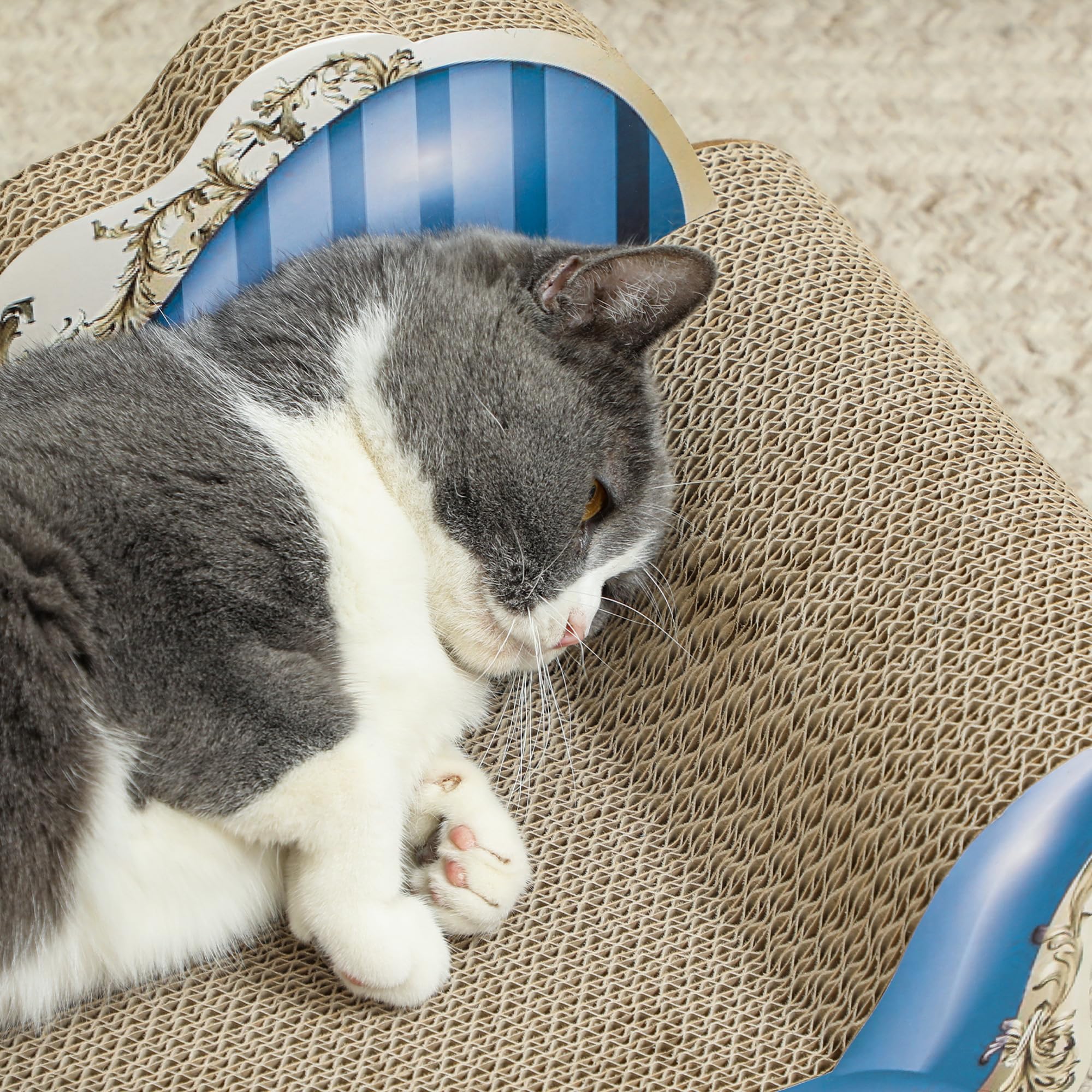 PawHut Tabla de rascar para Gatos 2 en 1 de cartón con Hierba gatera, Azul