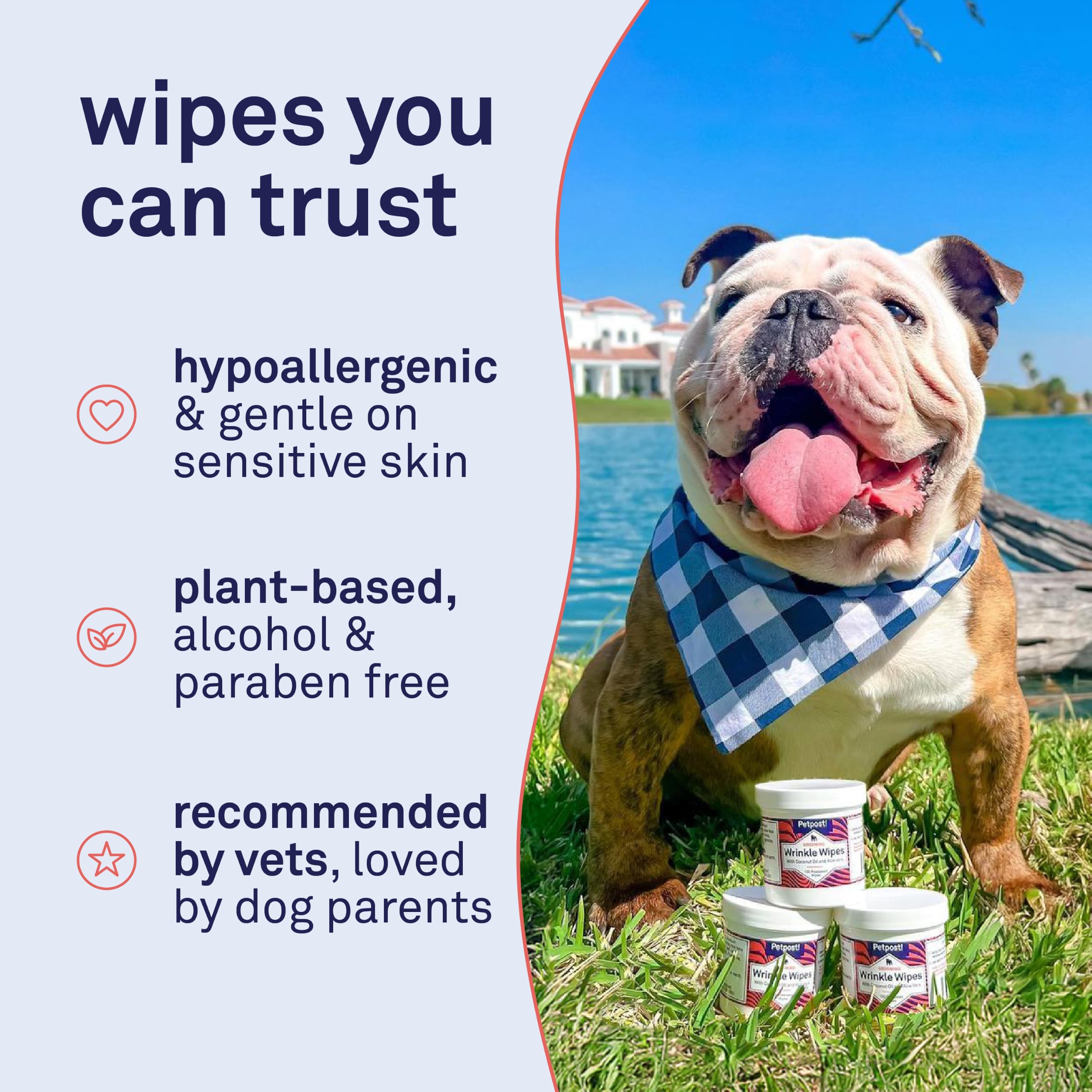 Petpost | Bulldog Wrinkle Wipes for Dogs - Cleans and Soothes Pug Wrinkles and Folds - 100 Ultra Soft Cotton Pads in Coconut Oil Solution