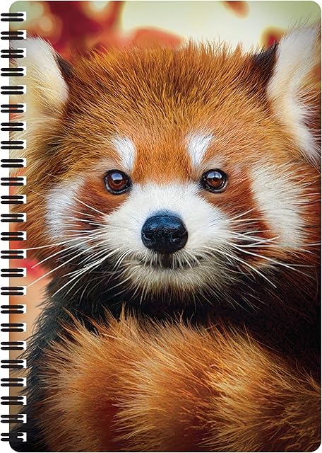 3D LiveLife A5 Notebook - Baby Red Panda from Deluxebase. 80 Page Lenticular 3D Red Panda Notebook. Superb School or Office Stationery with Artwork Licensed from Renowned Artist Michael Searle