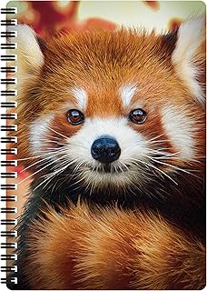 Amazon Fr Panda Roux Fournitures De Bureau