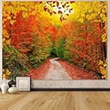 AMM Autumn Forest Tapestry Nature Fall Tree Thanksgiving Tapestry for Bedroom Aesthetic Autumn Path Yellow Red Fallen Leaves Landscape Tapestries Wall Hanging for Living Room Dorm 80 x 60 Inch
