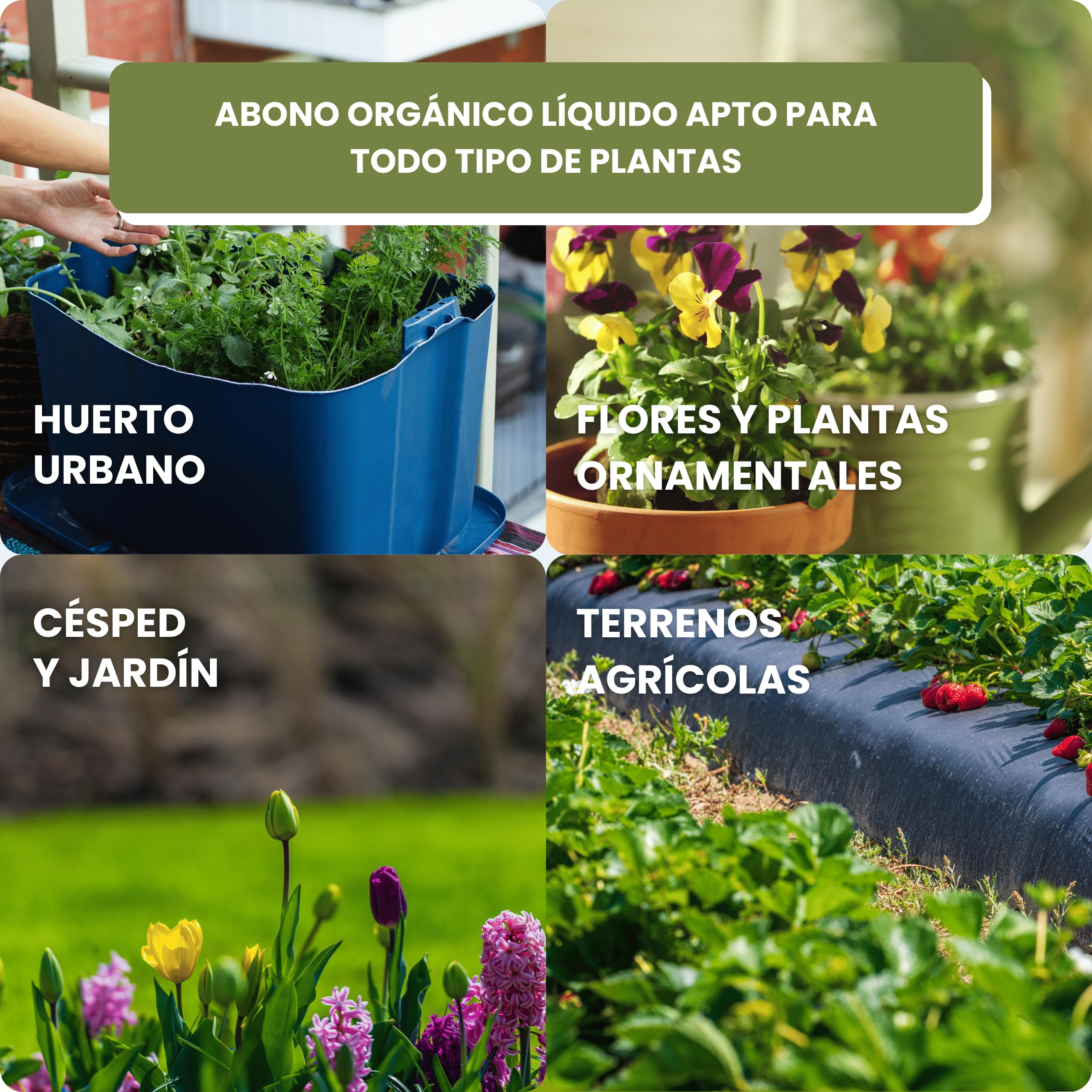 Humus de Lombriz Líquido 5L – Fertilizante Universal Muy Concentrado 5ml/L | +50% de Materia Orgánica – Abono Líquido para Plantas y Regenerador del Suelo – 100% Puro y Orgánico, Sin Residuo (5L)