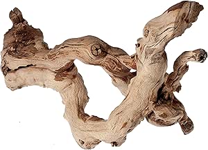 Natural Sandblasted Manzanita Branch | Dried Wood Decor For