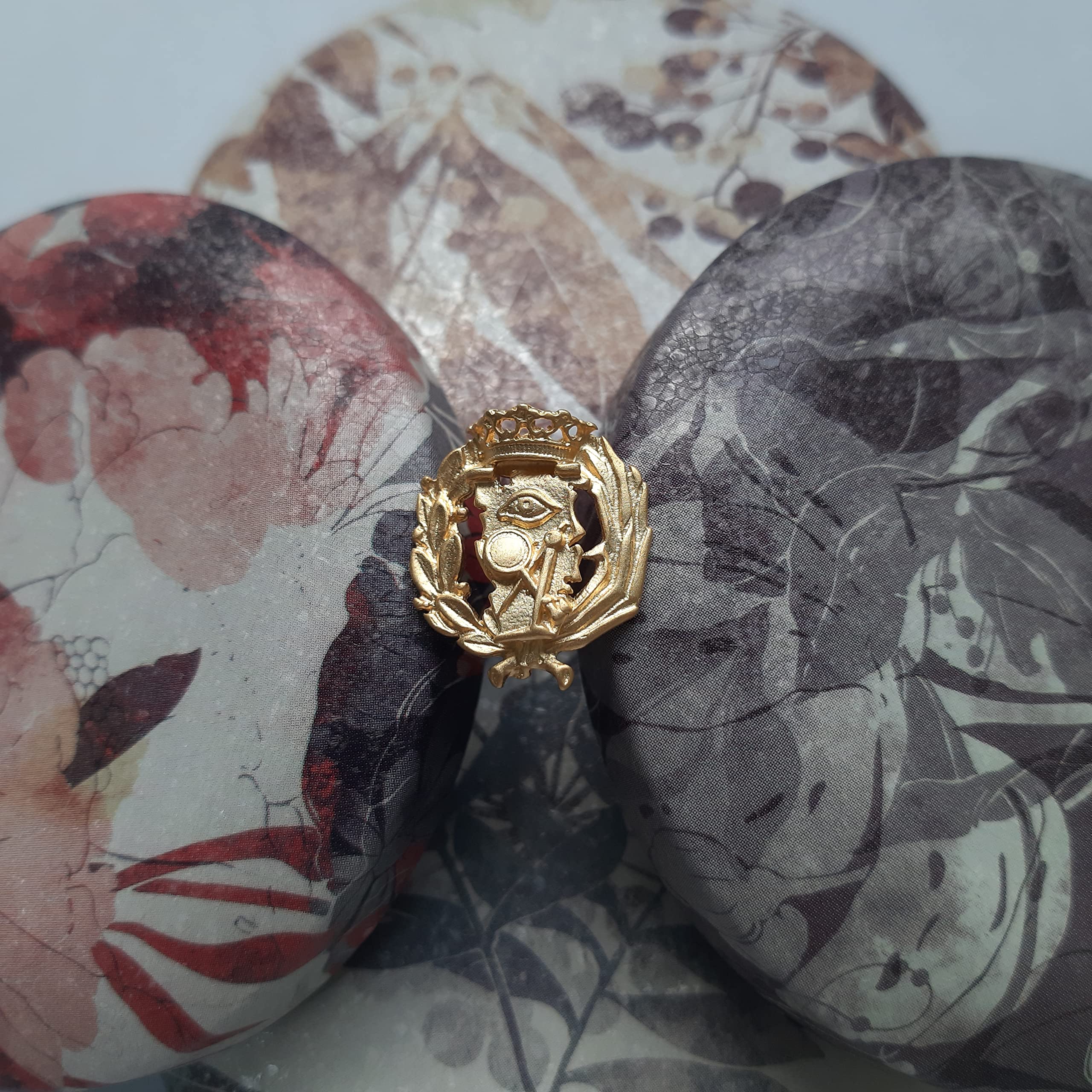Insignia Profesional de Ciencias Exactas Pin para Hombre Mujer en Plata 925 Chapado en Oro con Estuche para Regalo
