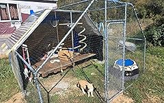 Review Image by Liza Liza