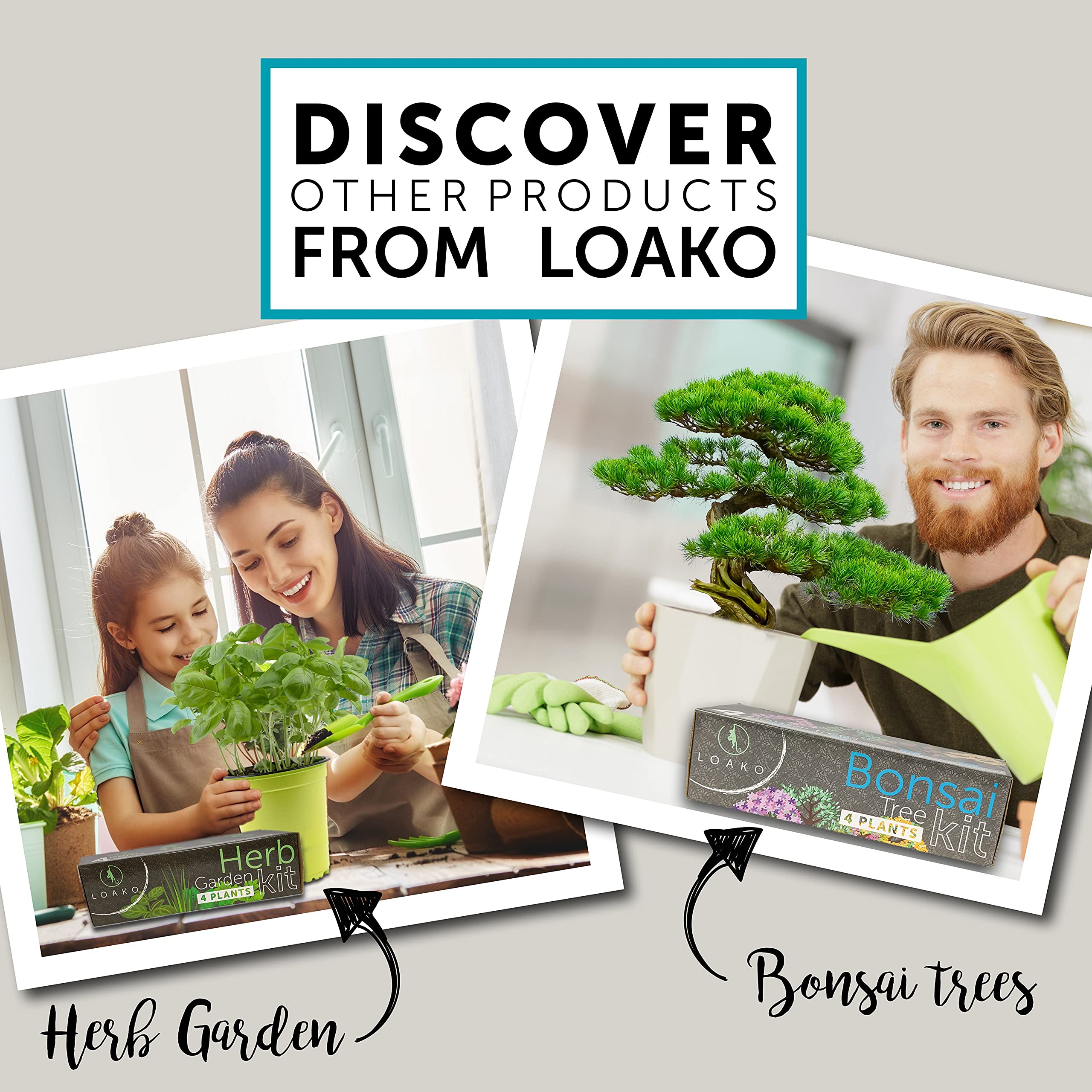 Bonsai Tree Seed Starter Kit Complete Growing Kit Grow 4 Bonsai