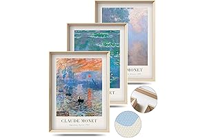 Framed Claude Monet Water Lilies Canvas Wall Art