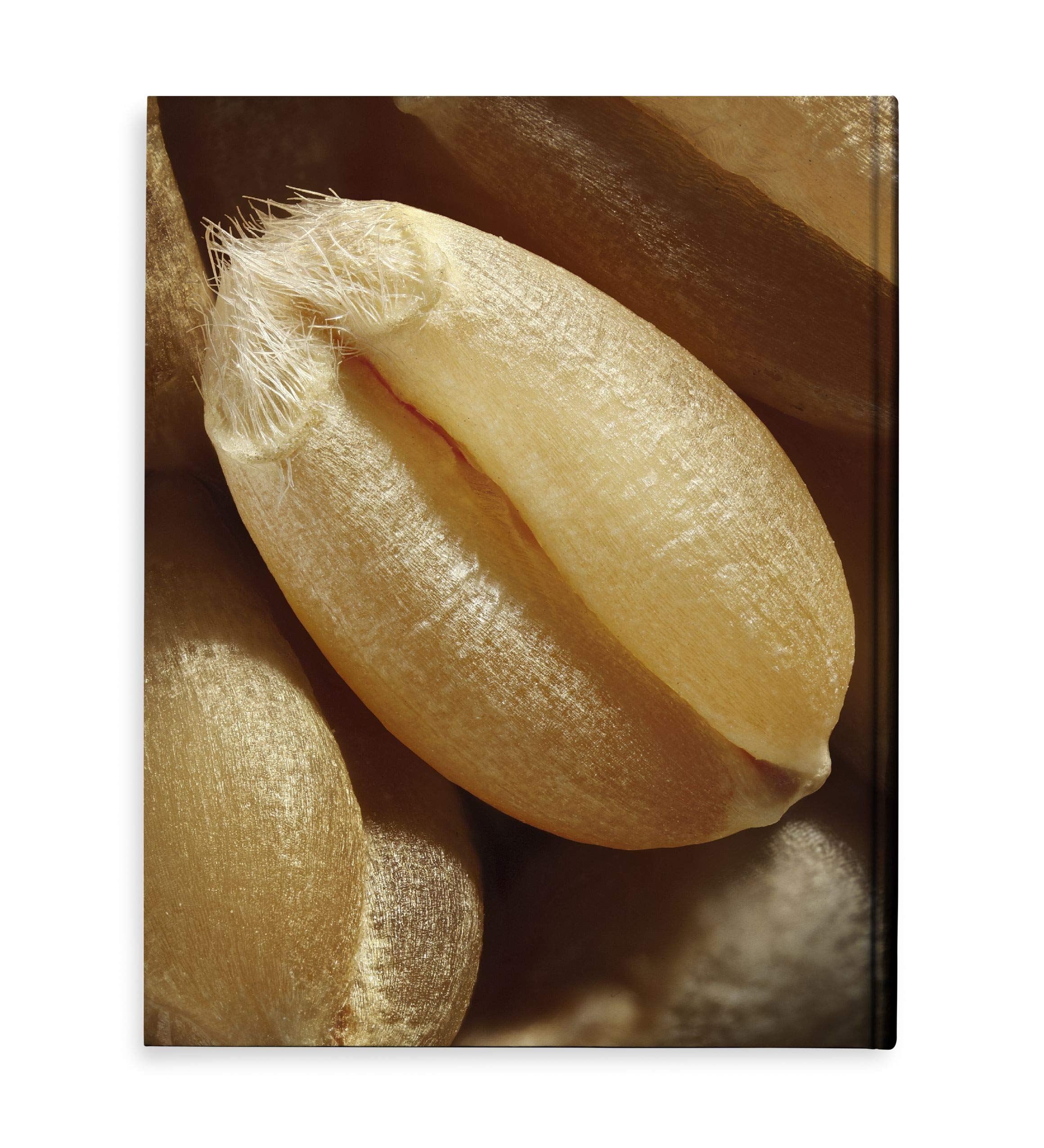 Modernist bread: the art and science