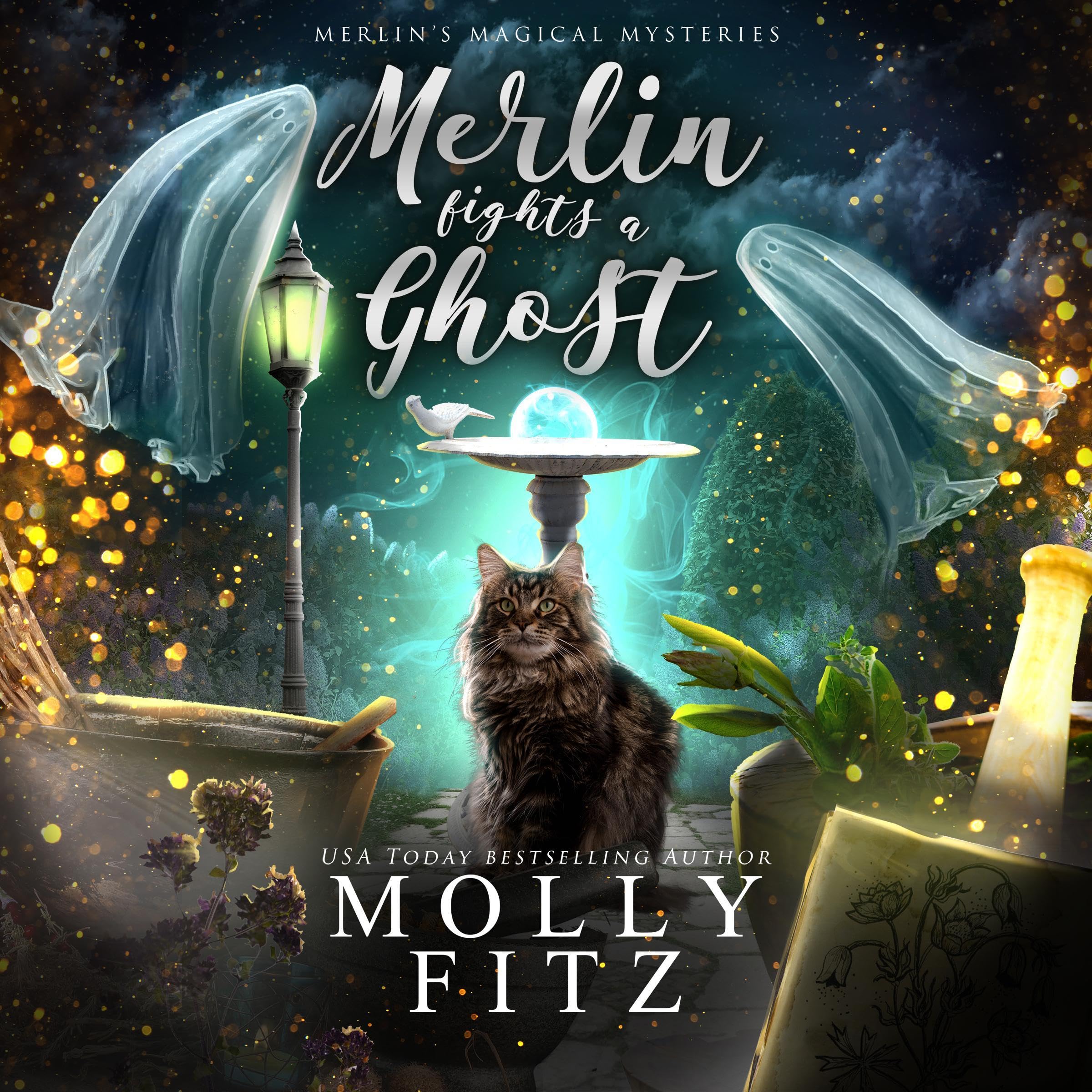 Cover art for Merlin Fights a Ghost