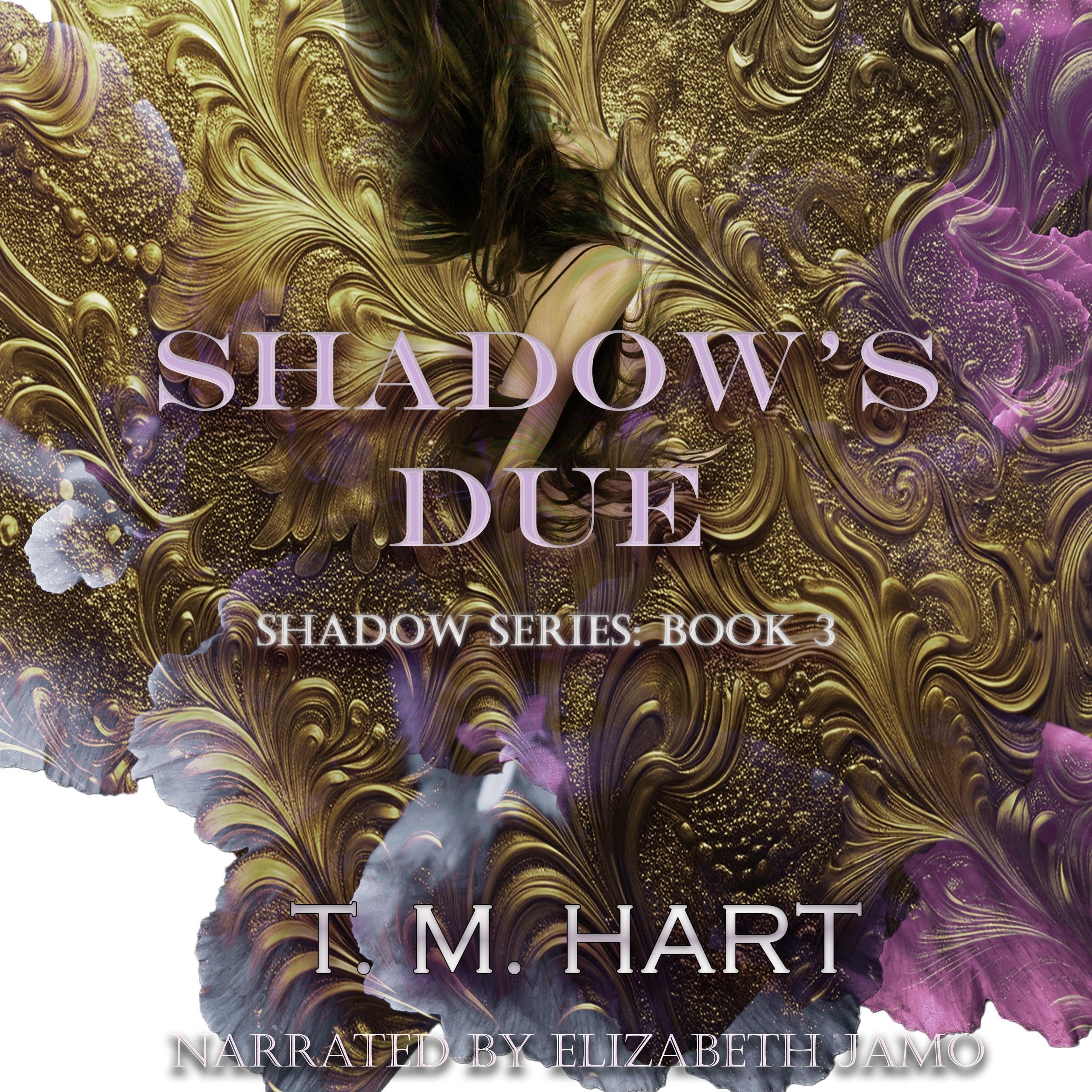 Cover art for Shadow's Due