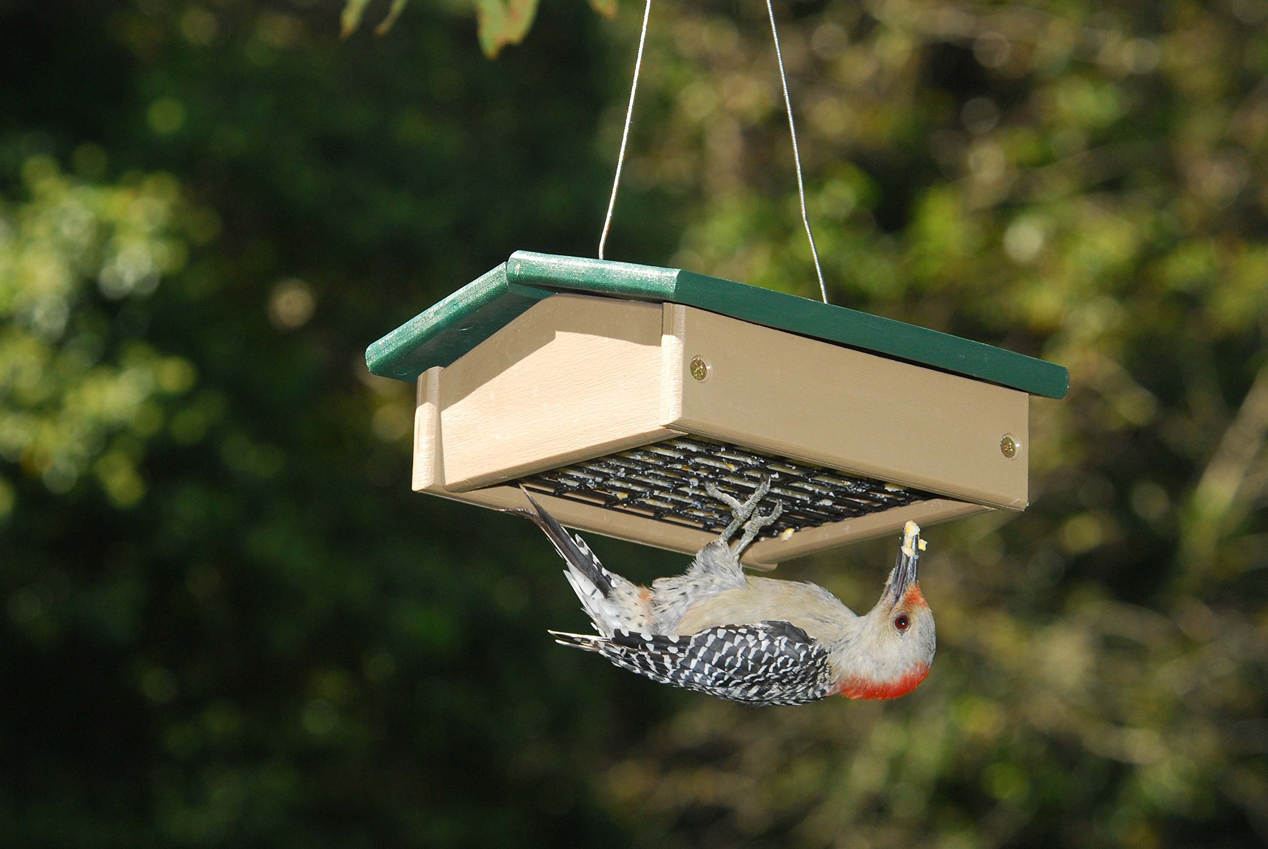 Songbird Essentials Mały Hunter Driftwood Upside Down Suet karmnik dla ptaków (SERUBSUDF100HD)