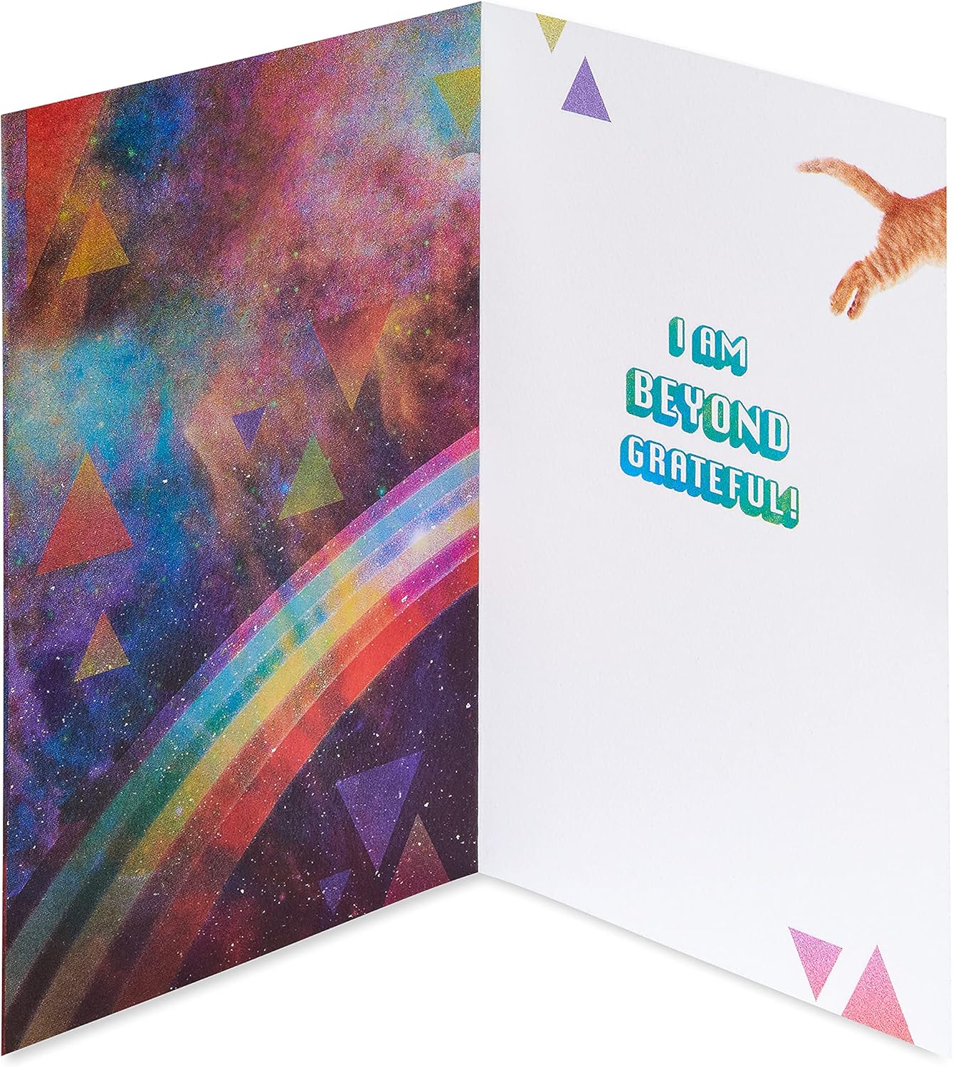 American Greetings Cat Thank You Card (Beyond Grateful) image 2 of 7 B09BZYSRN5