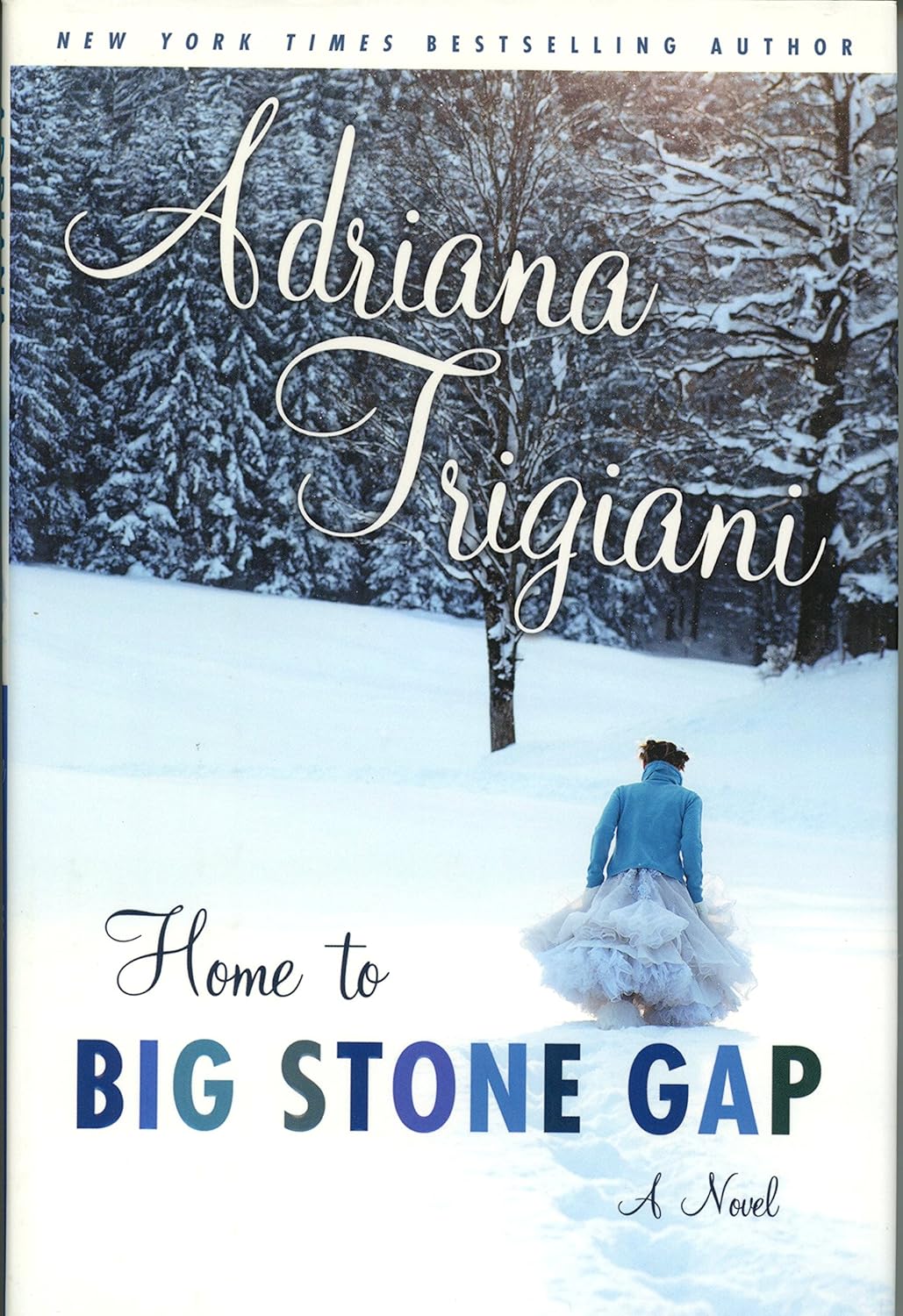 Home to Big Stone Gap A Novel Trigiani, Adriana 9781400060085