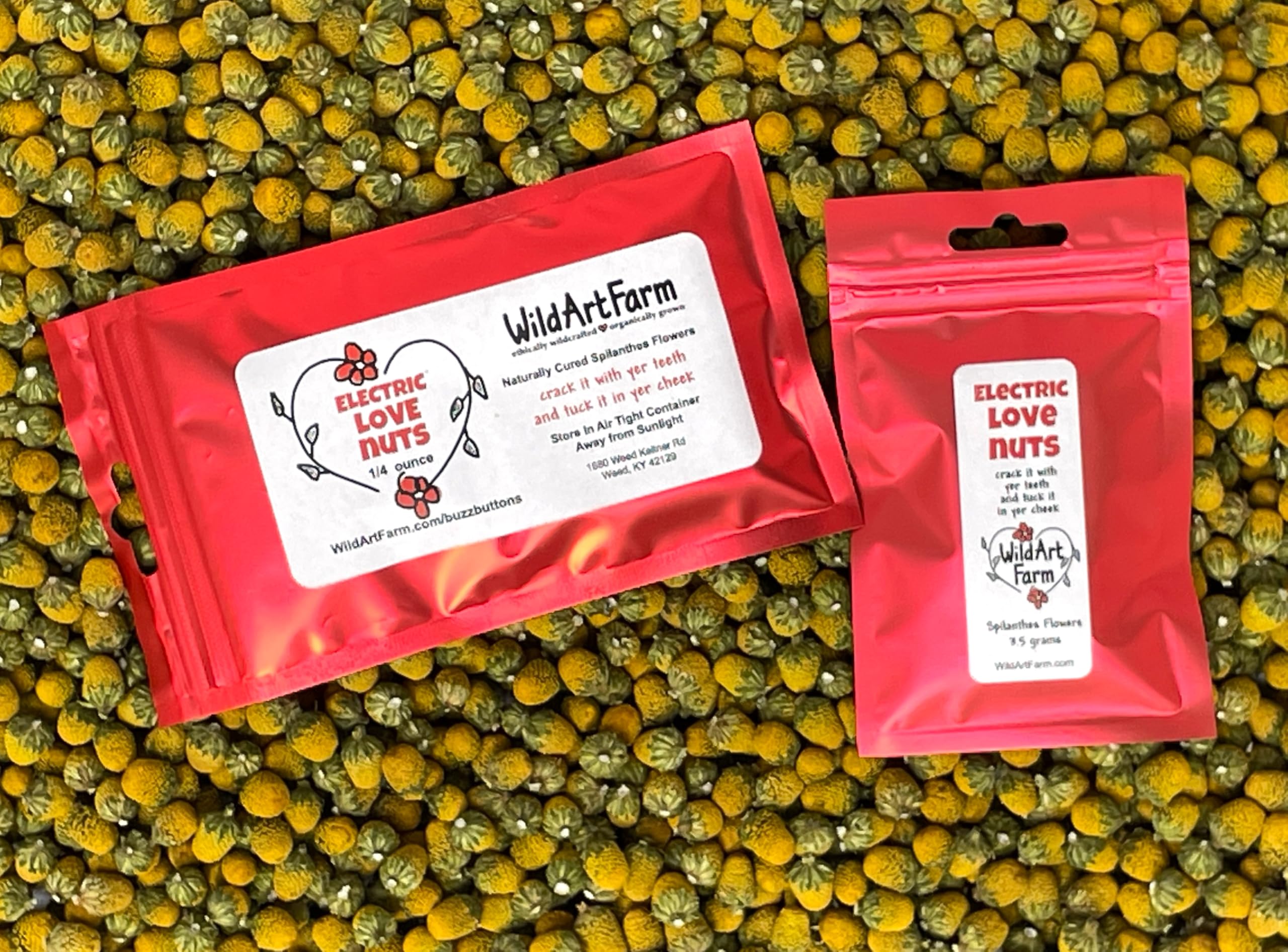 Buzz Buttons aka Spilanthes, Holiday Themed, Naturally Cured Edible Flower Gifts (Electric Love Nuts)