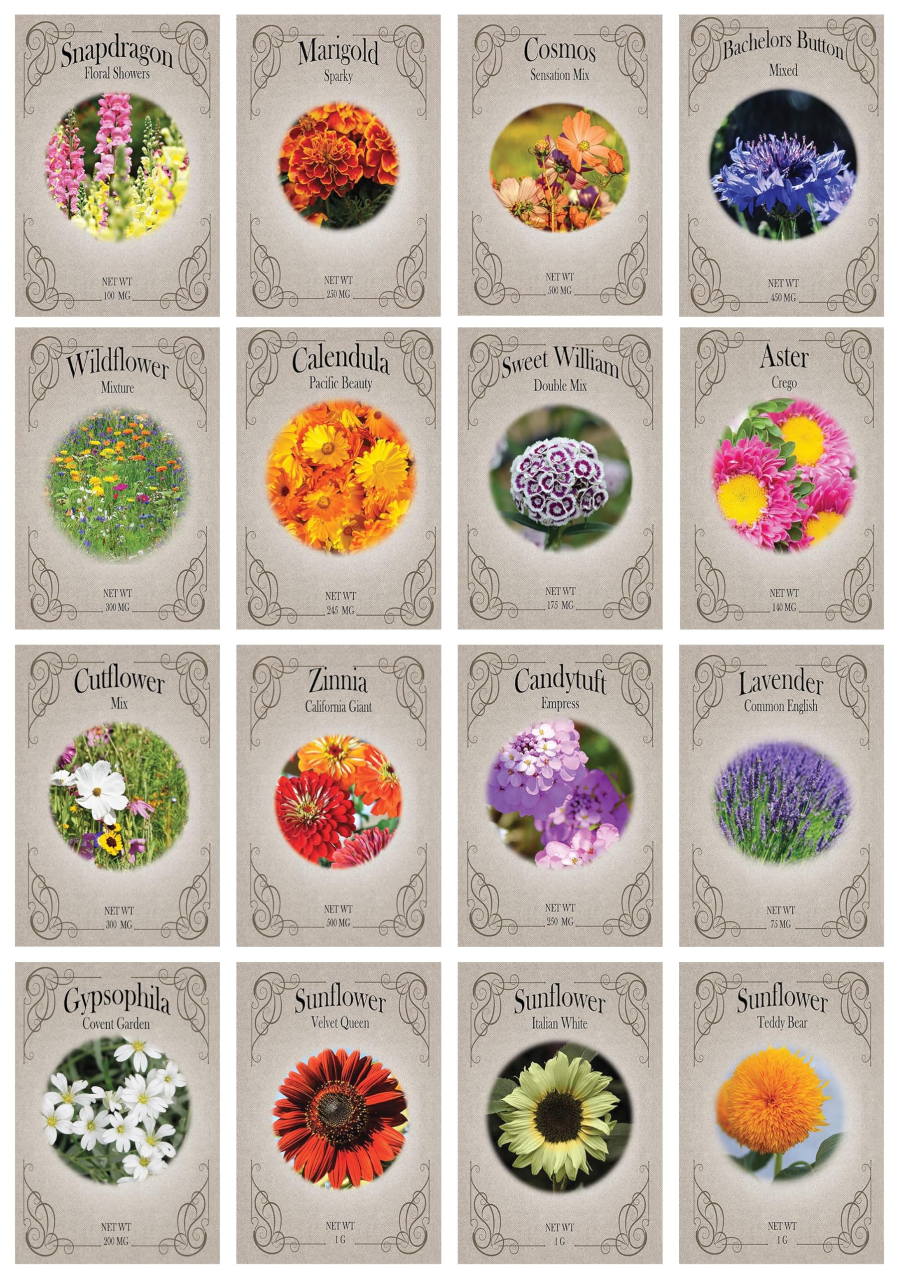 Amazon.com : Valley Greene Set of 16 Heirloom Flower Seeds - Non