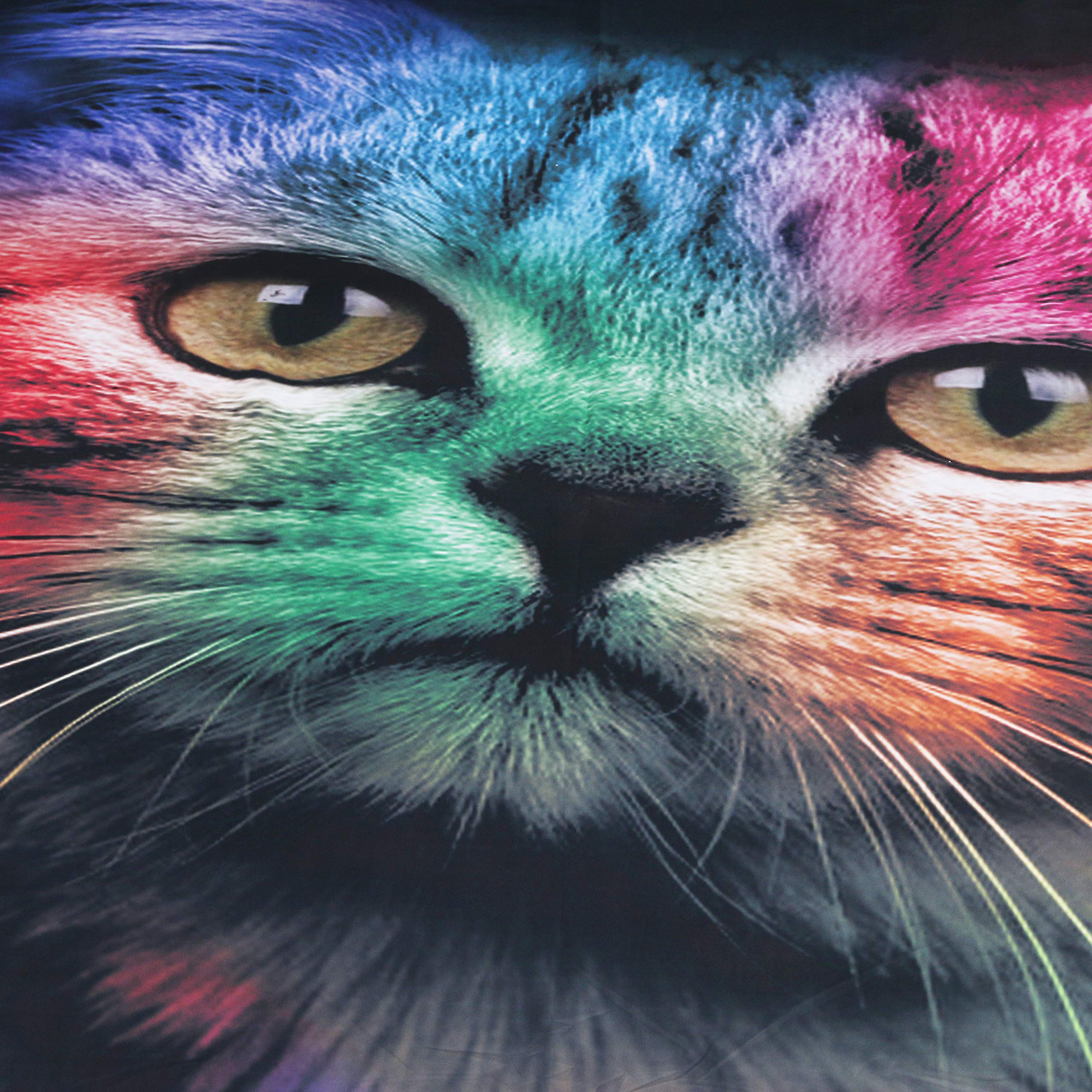 BlessLiving Cat Hooded Blanket for Adult and Kids Colorful Cat Print Fleece Blanket Sherpa Animal Blanket Hooded Throw (Adult 80