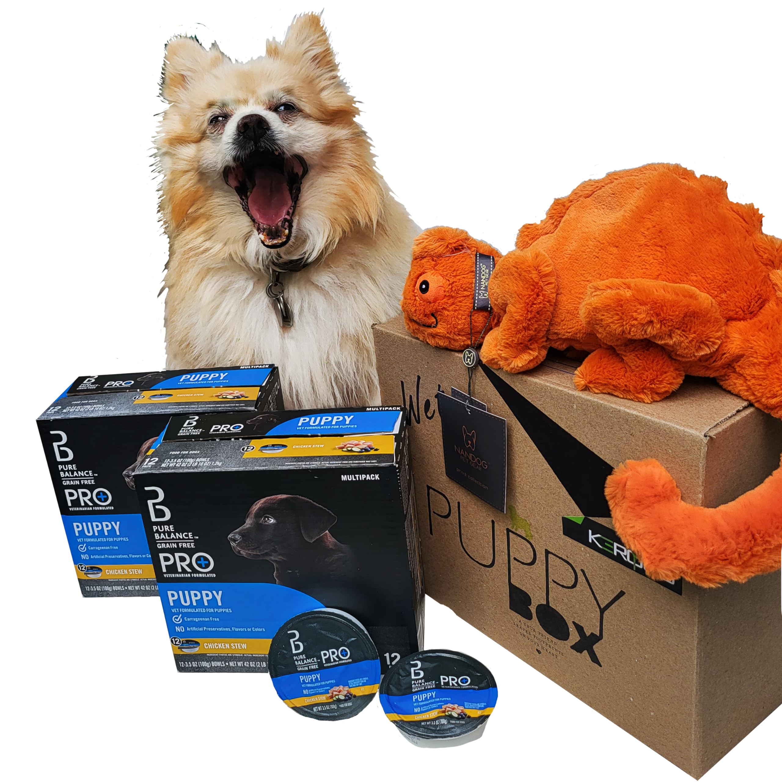 Puppy Wet Food Kit. Pure Balance Pro+ Chicken Stew Wet Dog Food for Puppies, Grain Free, 3.5 oz Cups (24 Pack) NANDOG Plush Toy