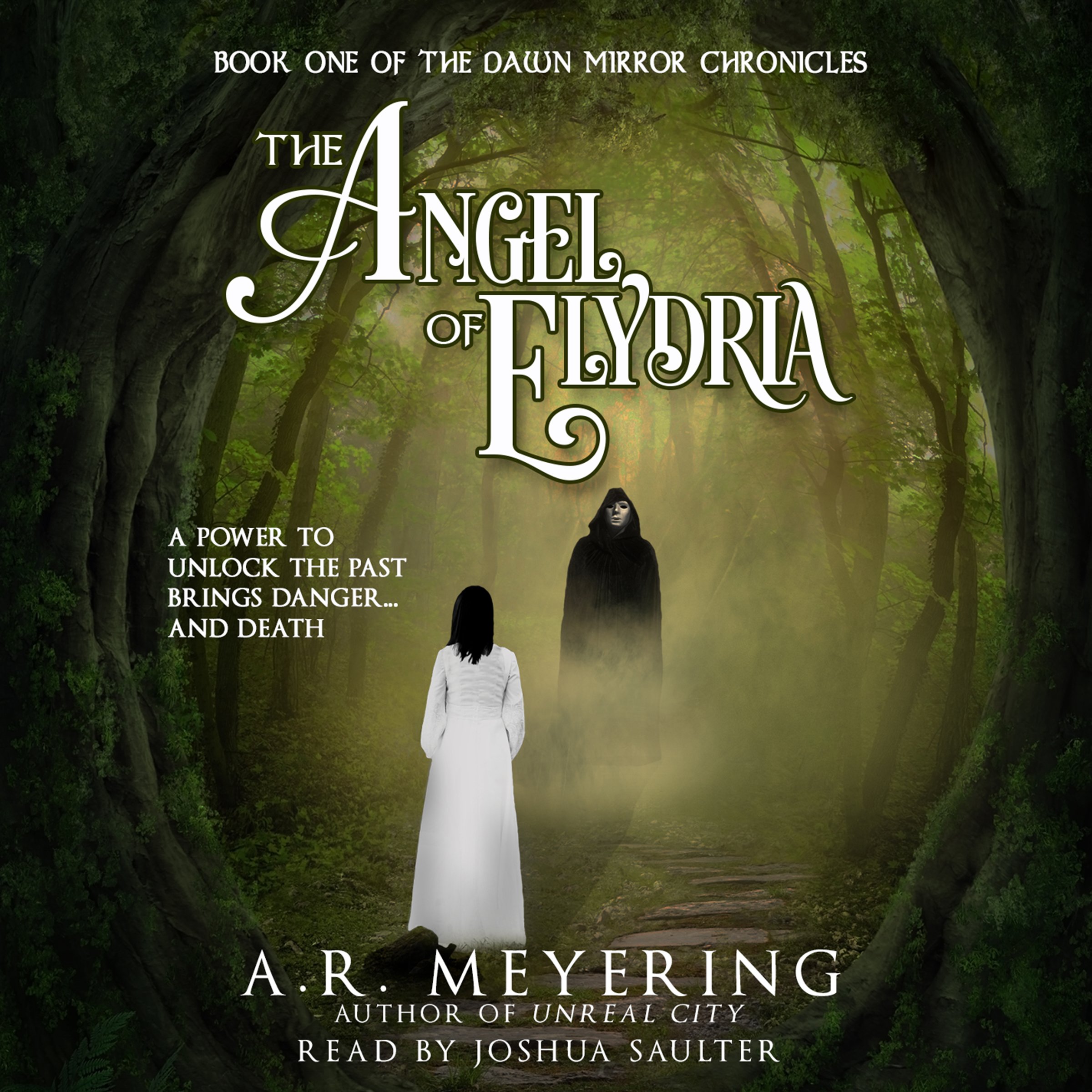 Cover art for The Angel of Elydria