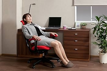 Amazon | Hara Chair ハラチェア ニーチェ スマート（グレー