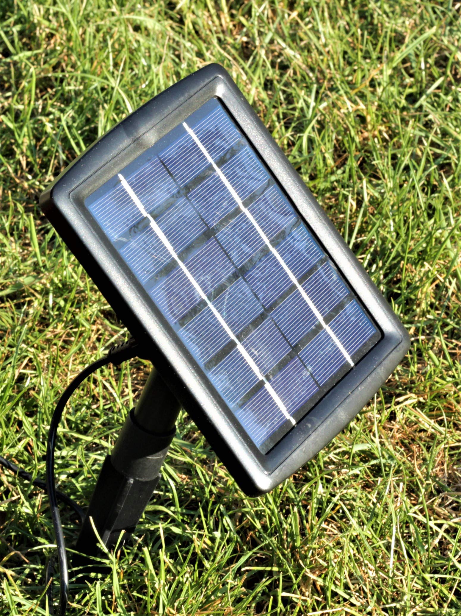 Wasserspeier Froschkönig Guß 13 cm mit Solarpumpe
