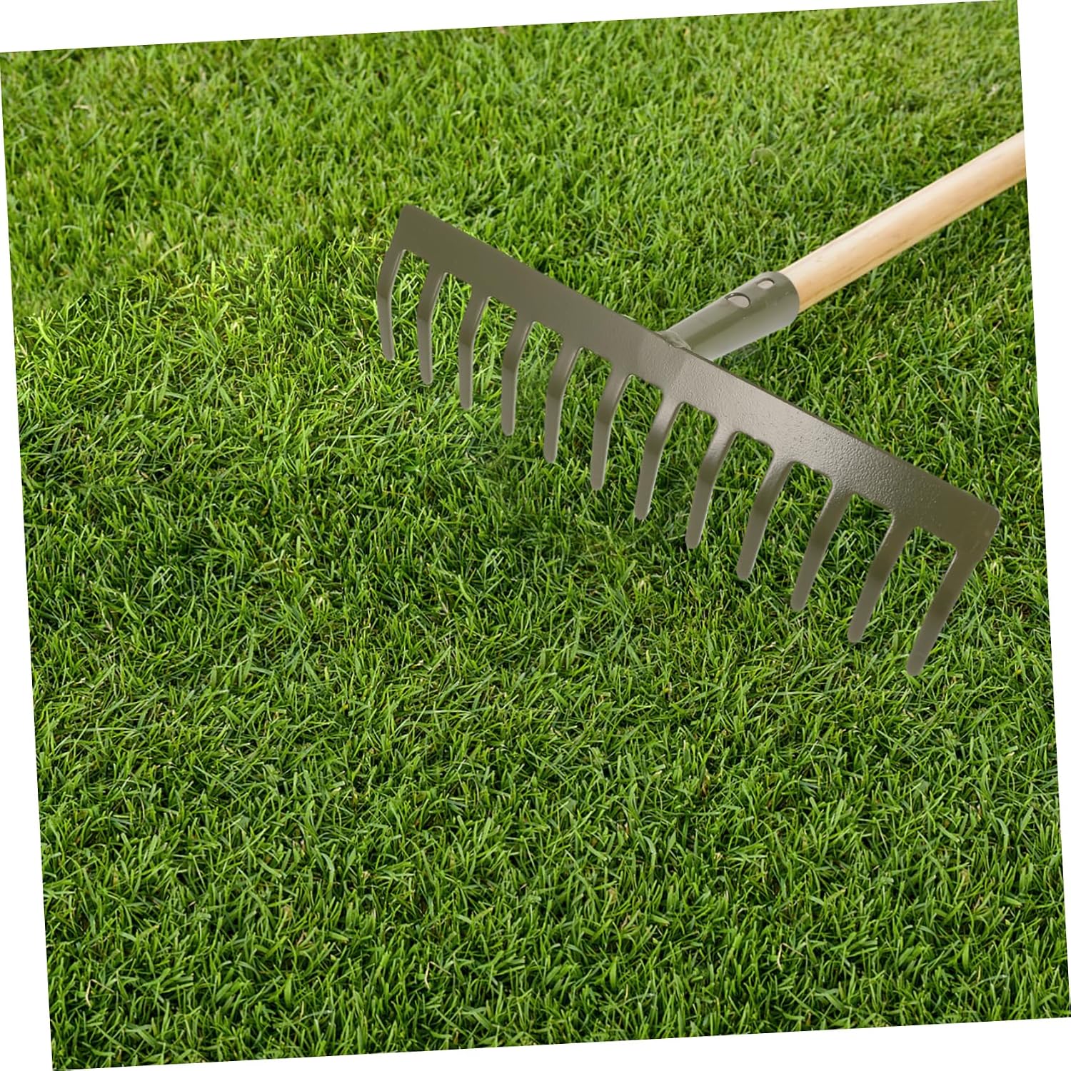 Heavy Duty Metal Garden Rake Teeth for Soil Loosening and Leaf Collection Mini Gardening Tool for Efficient Maintenance and Garden Tidy-up image 5