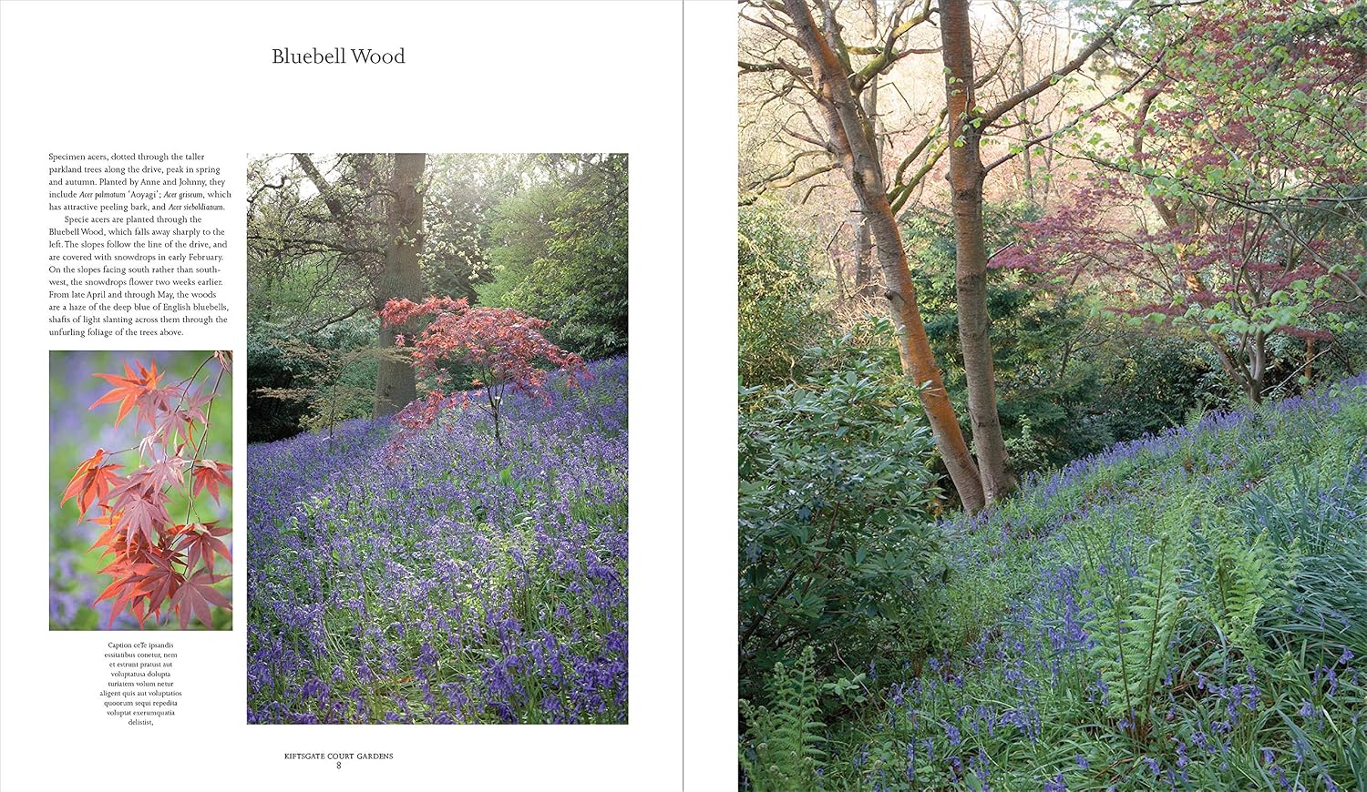 Kiftsgate Court Gardens: Three Generations of Women Gardeners