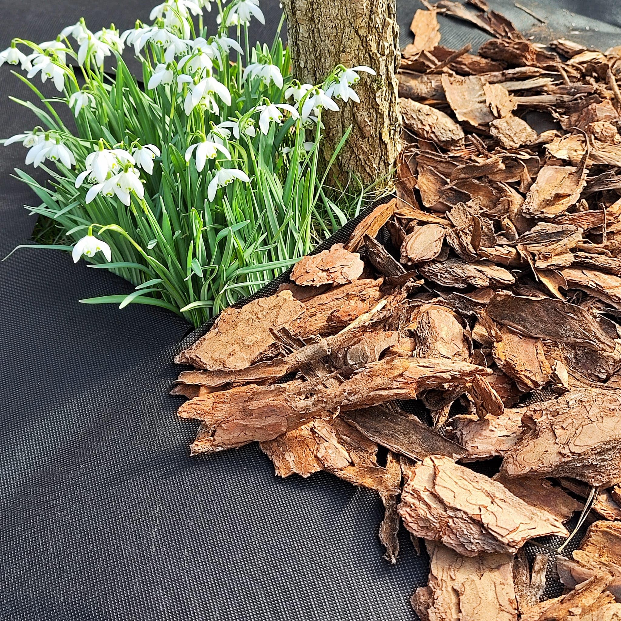 EraGreen Premium Unkrautvlies 100g/m² - 0,8m x 20m Gartenvlies wasserdurchlässig und UV-stabil - Unkrautmatte ideal für Garten und Hochbeet - umweltfreundliche Mulchfolie