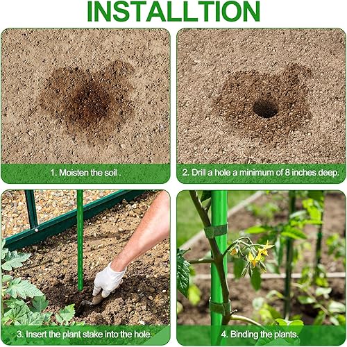 Miniatura 6 de WAENLIR Estacas para plantas de jardín, para soporte, para tomates, 5pies, paquete de 50unidades