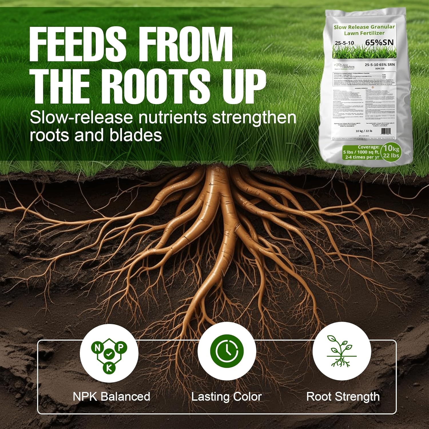 Slow Release Lawn Fertilizer 25-5-10 NPK - 65% Granular Nitrogen Formula for Deep Feeding up to 110 Days - 10kg (22lbs) Bag - Kid & Pet Safe Lawn Care for Lush Green Grass