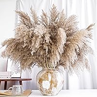 Vista 4 de 40 piezas de decoración de ramo de hierba de pampa natural, flores y plumas bohemias para centros de mesa, perfecto para rellenos de jarrones