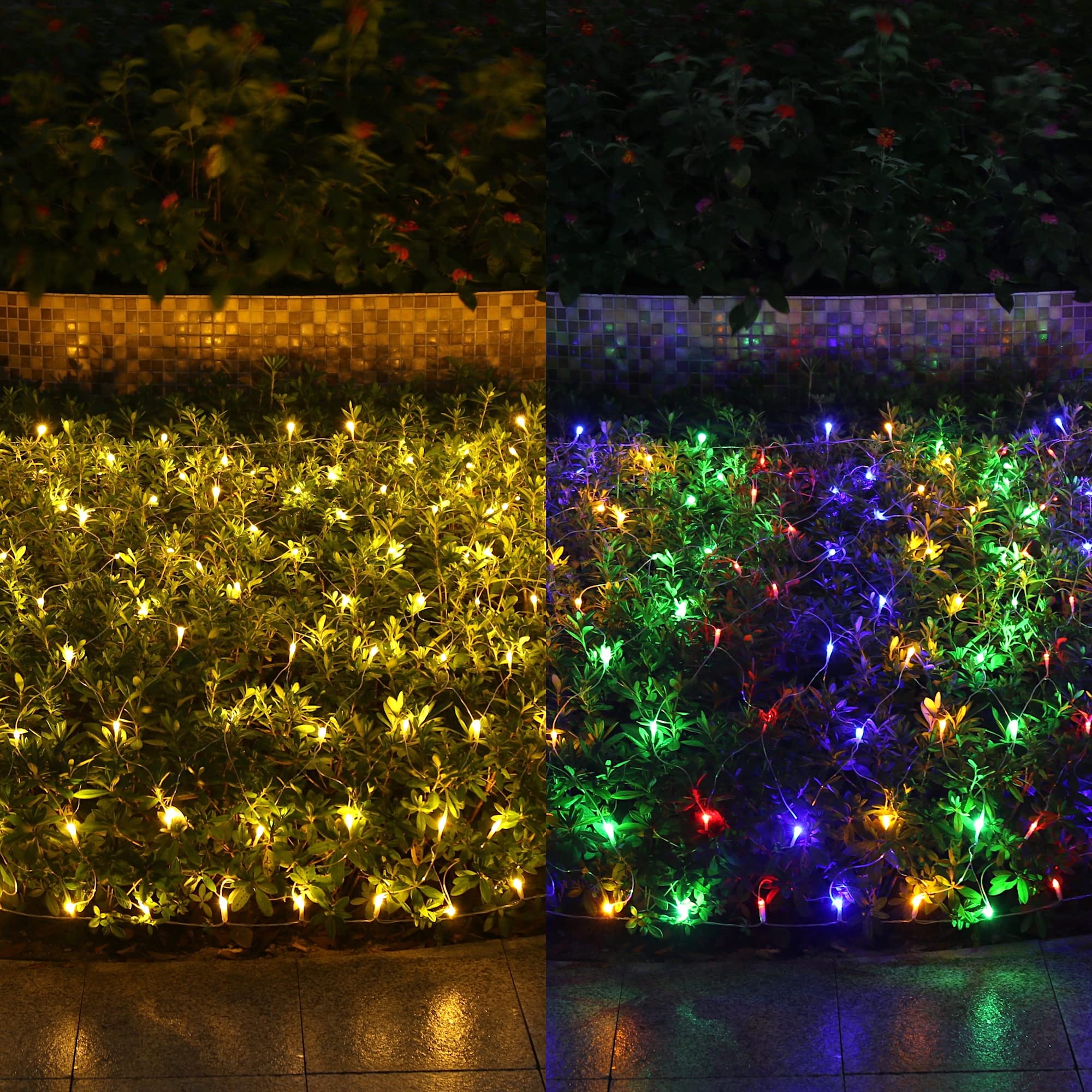Vanthylit Christmas Net Mesh Lights 200LED 6.5FT x 5FT Warm White and Multicolor 2 Color String Light Clear Wire with 9 Modes for Xmas Trees,Bushes,Garden, Indoor and Outdoor Decor