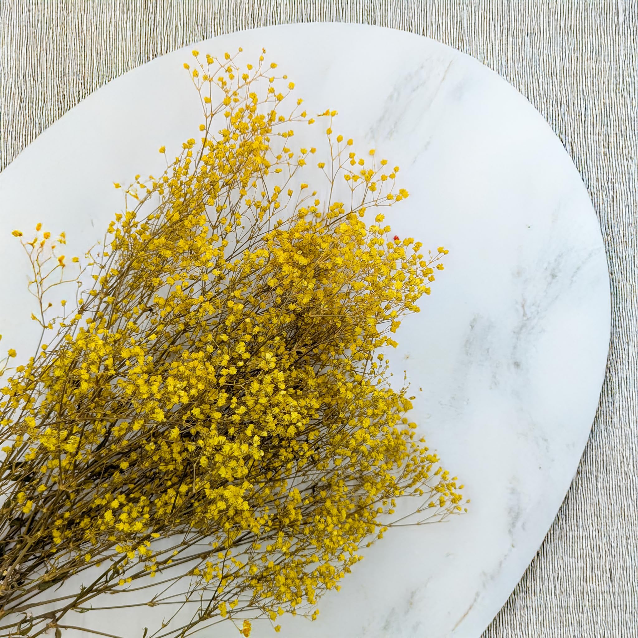 Enchanted Fleurs Séchées, Gypsophile Stabilisée, 120 g, Jaune Pastel