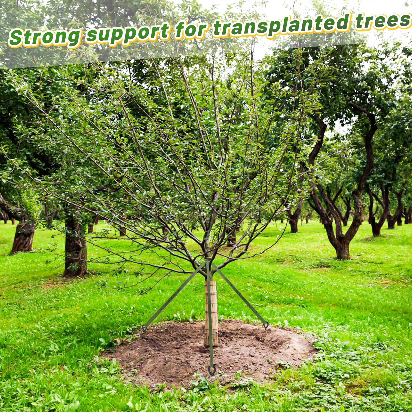 Biubee Sangle de Fixation pour Arbre Vert 275 m de Long 2,5 cm de Large 2,5 cm de Large