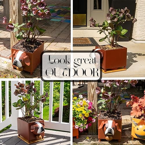 Miniatura 5 de Made Easy Kit Maceta de animales  Maceta de metal con drenaje, bandeja de goteo y base de madera  Decoración linda para jardín y patio  Para todo