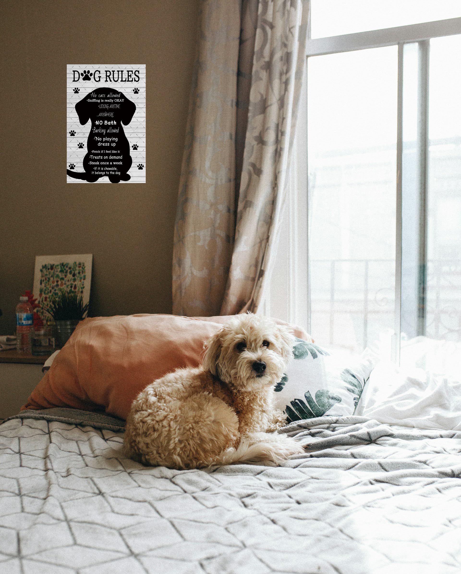 EMOHAT Targa In Metallo 'This Home Is Filled With Kisses' Per Cani - Decorazione Parete 30,5x20,3 Cm (Testo Inglese)