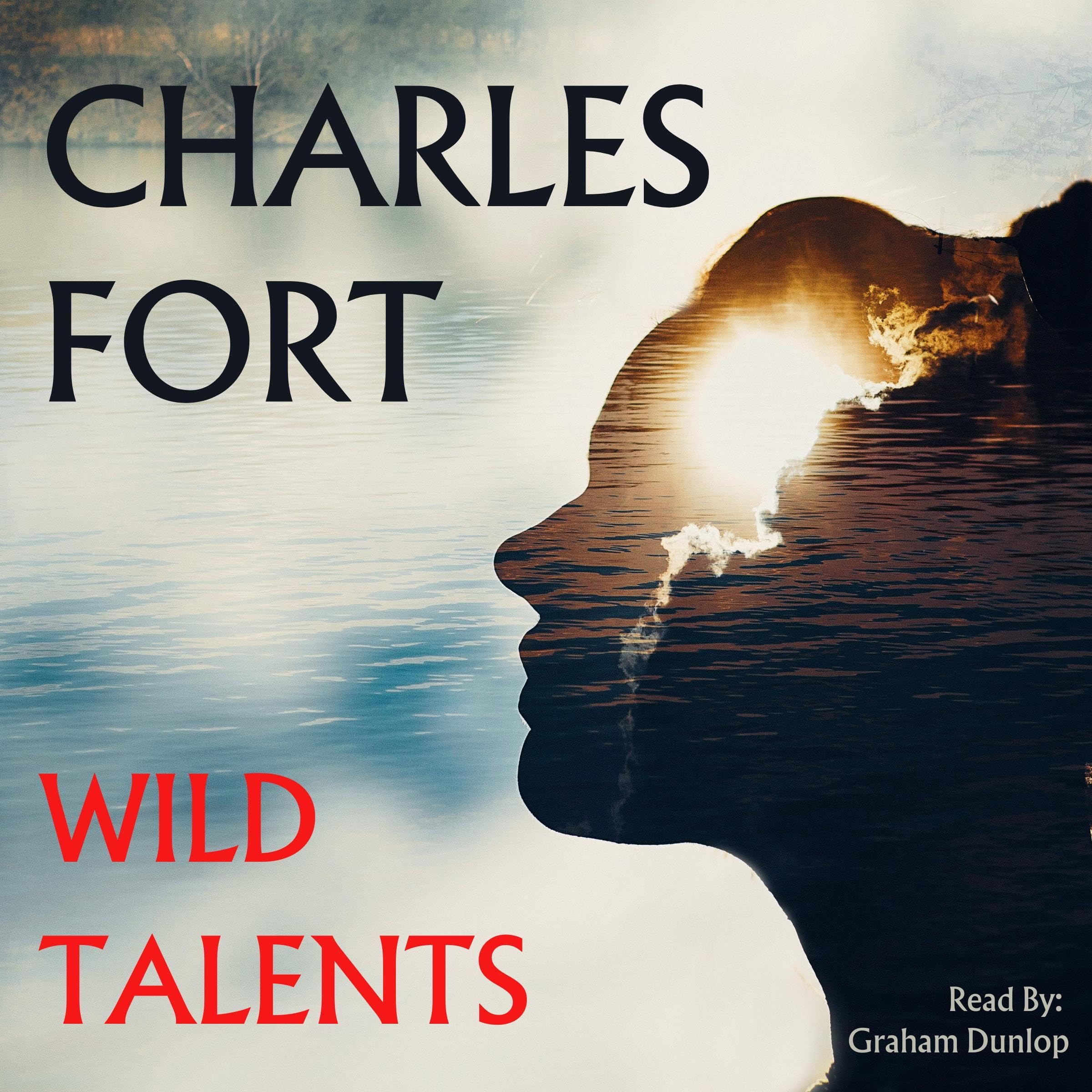 Cover art for Wild Talents